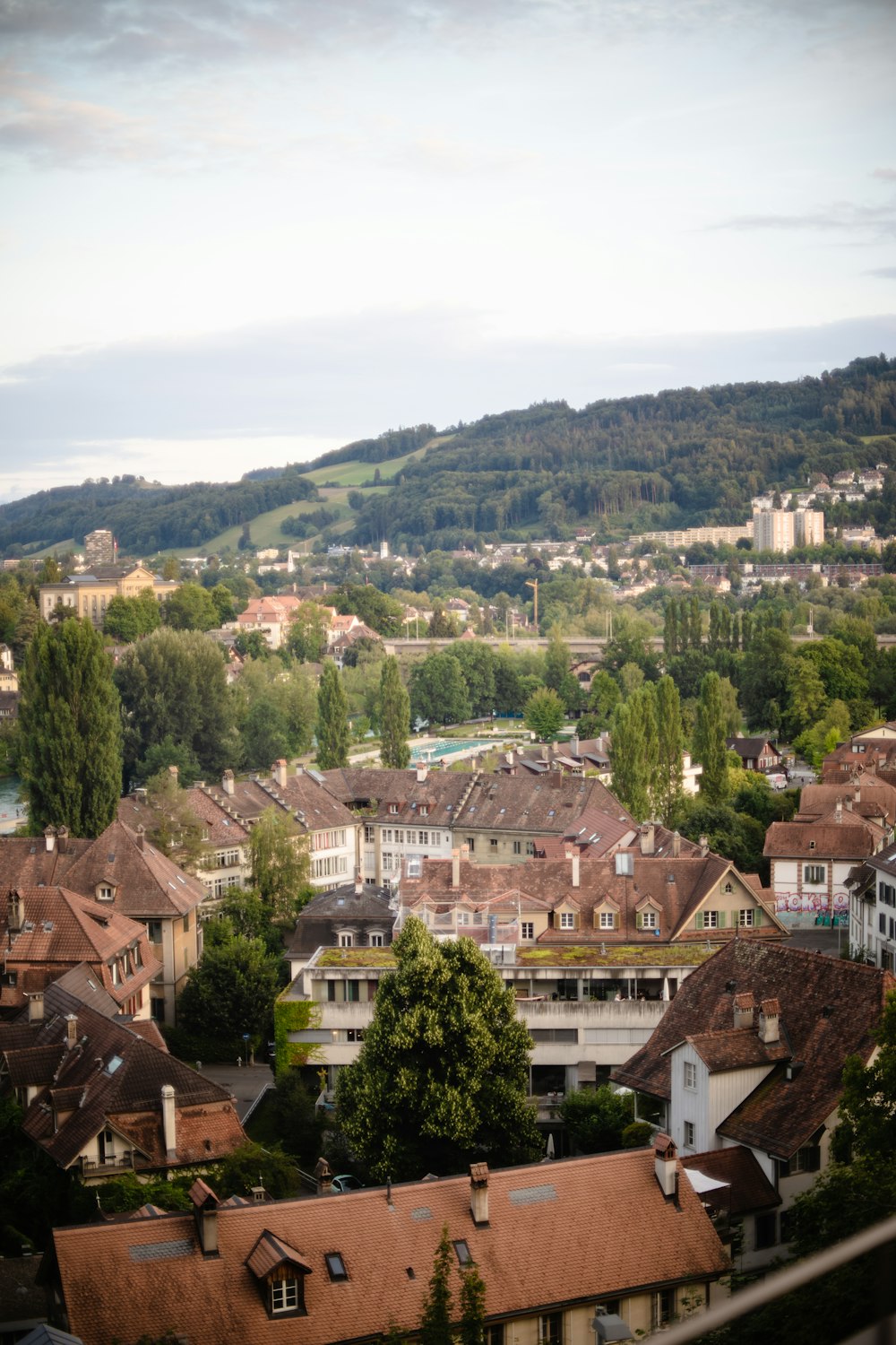 a group of houses with trees in the back