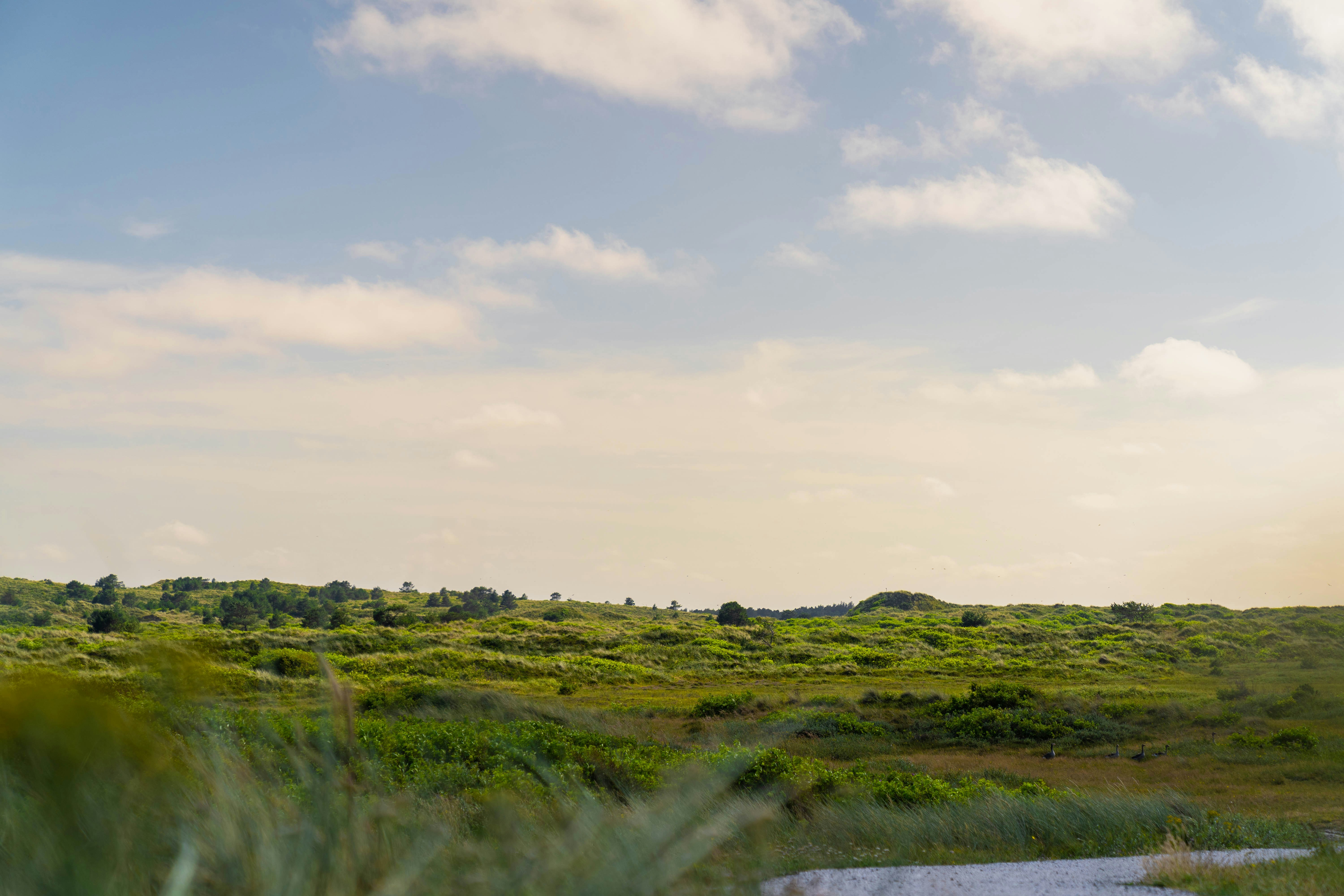 Photo by niels_kamphorst