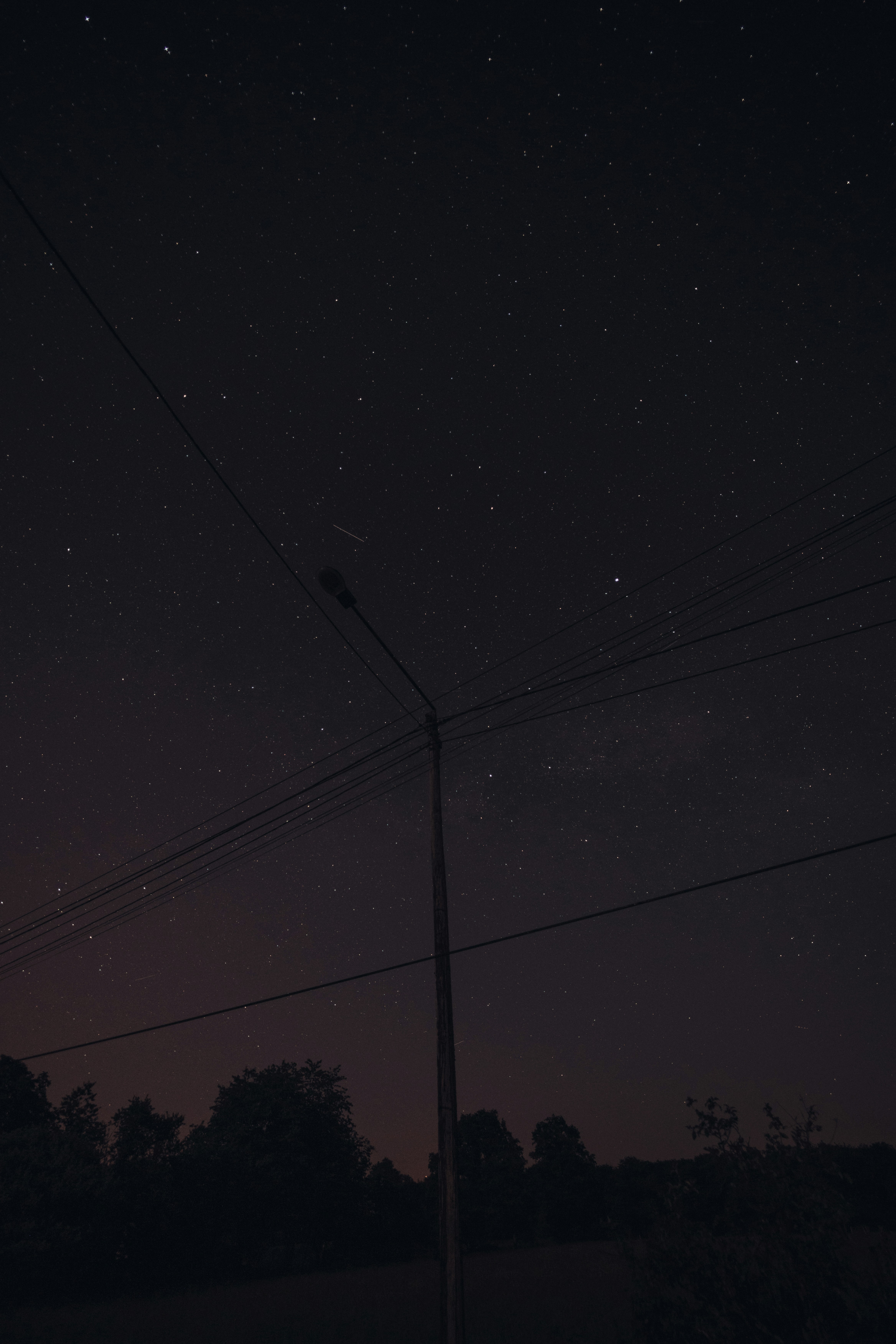 The Neighboring Stars Along Our Route (image credits: unsplash)