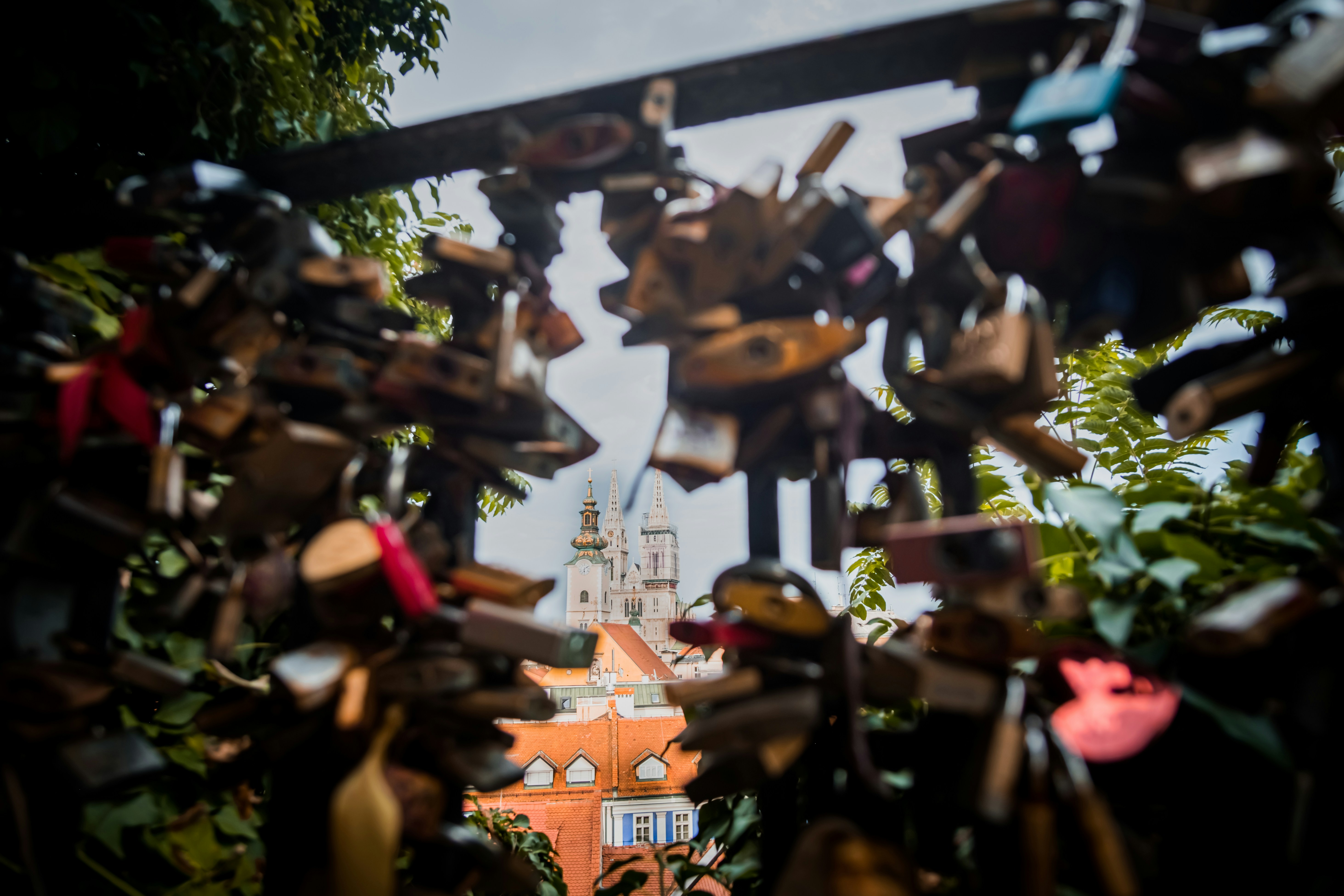 A group of butterflies on a branch