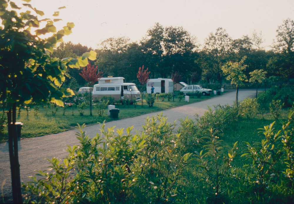 Une route avec des arbres et de l’herbe