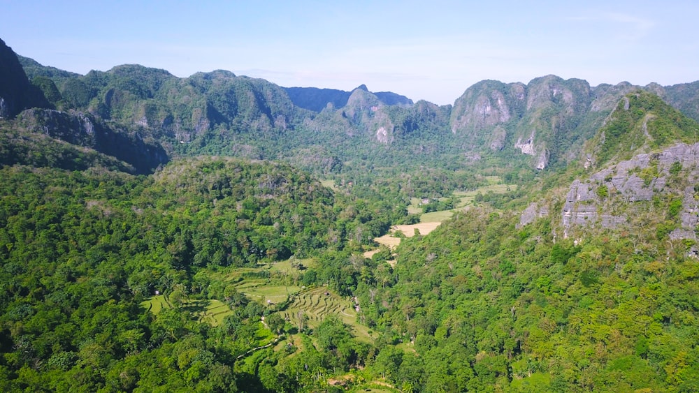 a landscape with trees and mountains