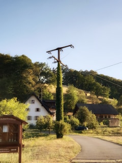 A rural scene with a winding pathway leading towards a cluster of traditional houses surrounded by lush greenery. A tall utility pole is prominently covered in climbing plants. The landscape is bathed in warm, golden sunlight with a backdrop of rolling hills and trees.