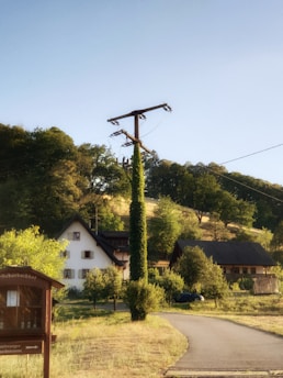 A rural scene with a winding pathway leading towards a cluster of traditional houses surrounded by lush greenery. A tall utility pole is prominently covered in climbing plants. The landscape is bathed in warm, golden sunlight with a backdrop of rolling hills and trees.