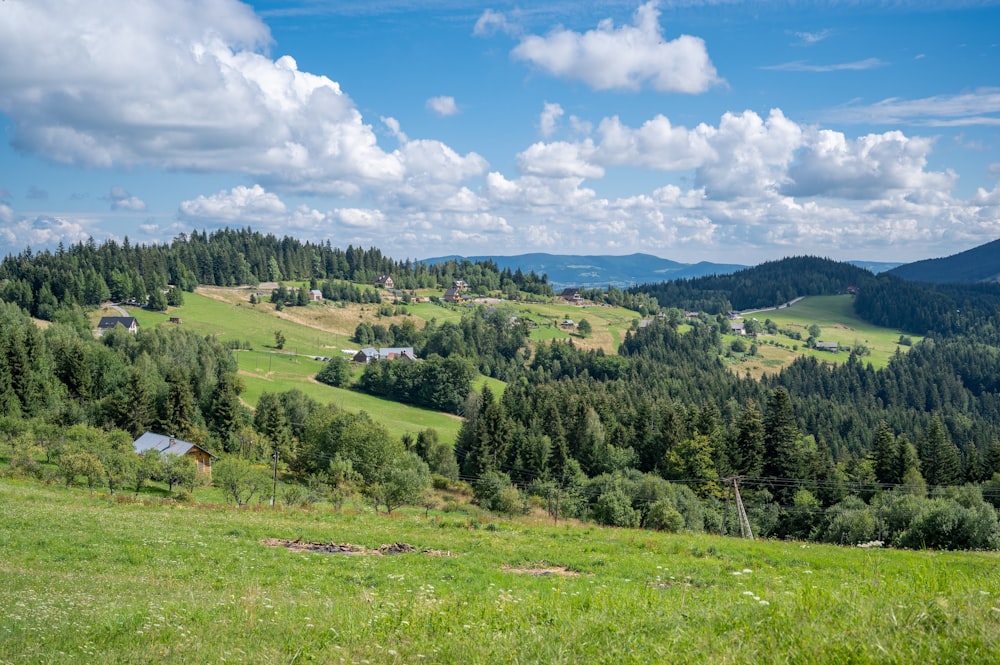 Un paesaggio con alberi e case