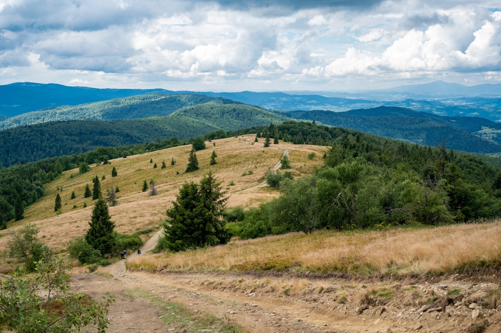 a landscape with trees and hills