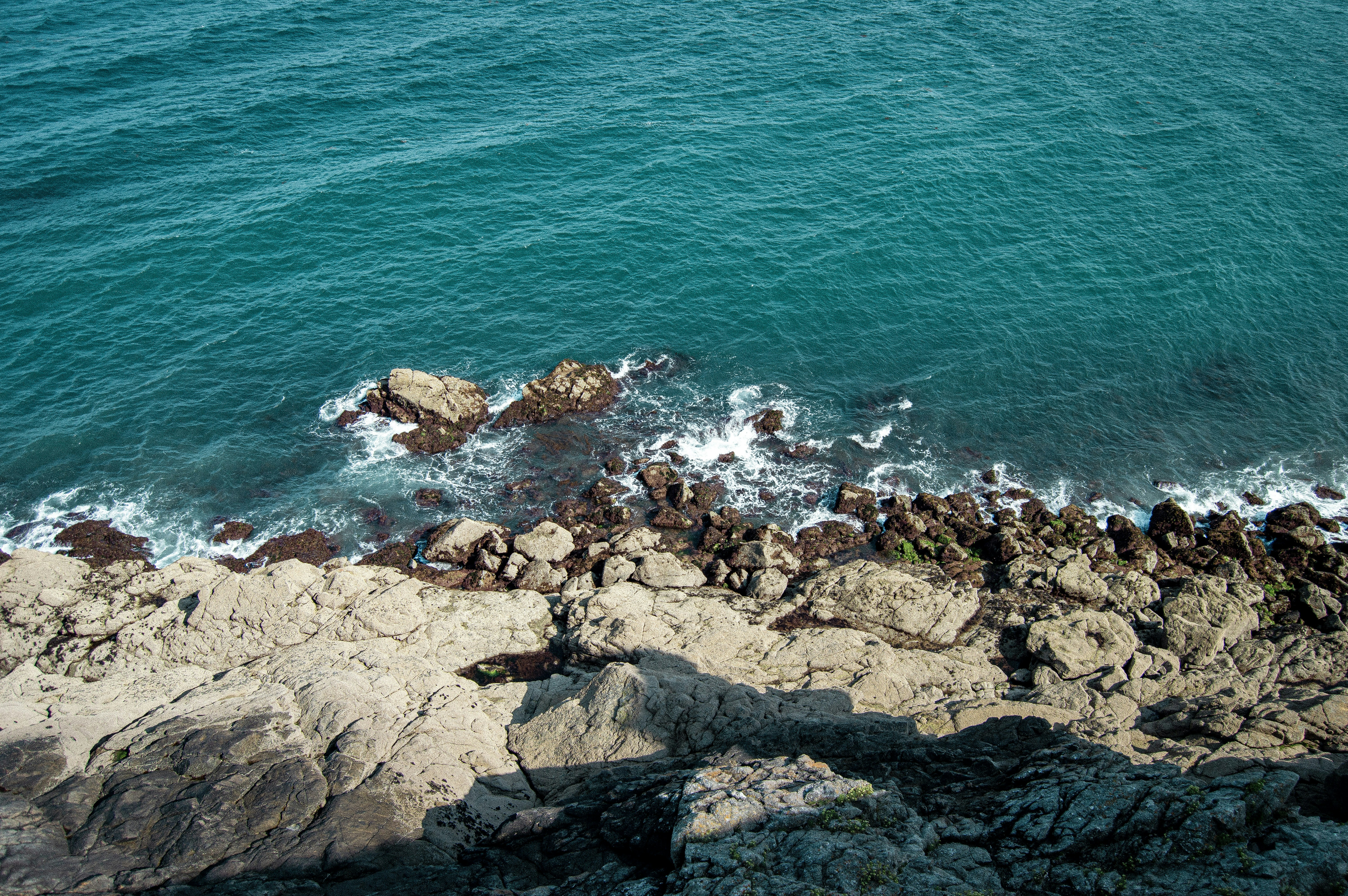 Photo by mayzcreates