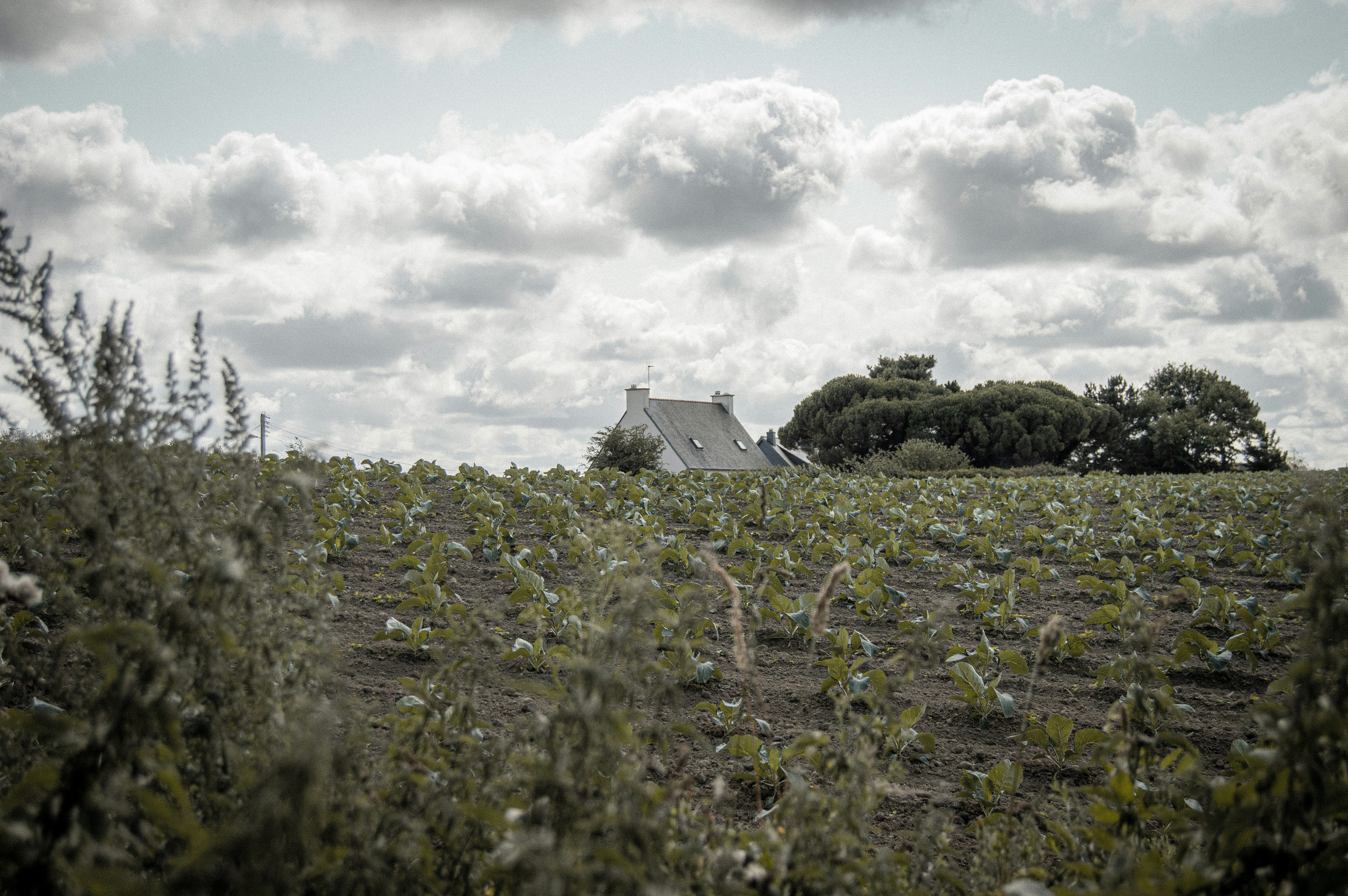 Photo by mayzcreates