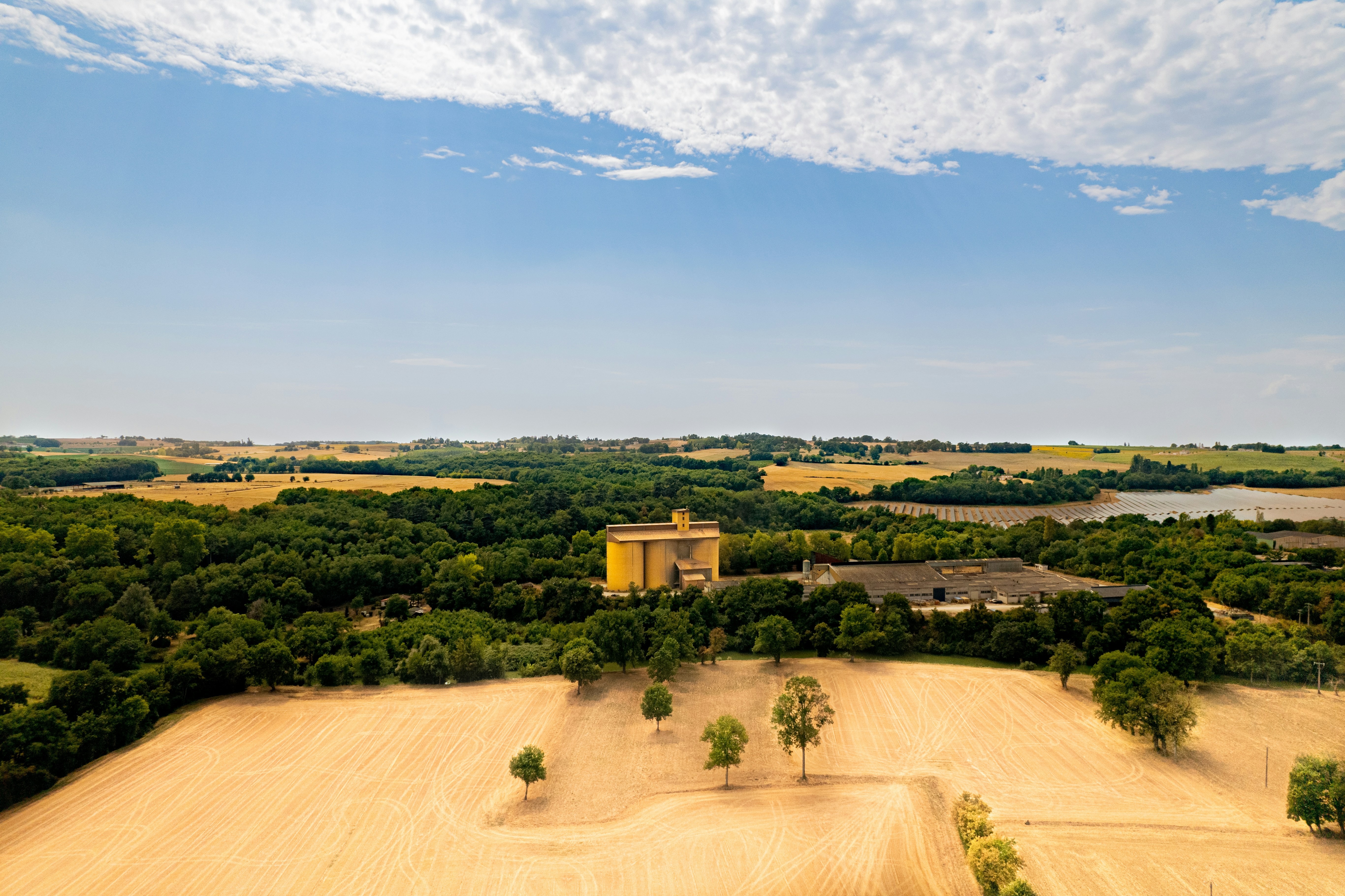 un grand champ arboré et un bâtiment au loin