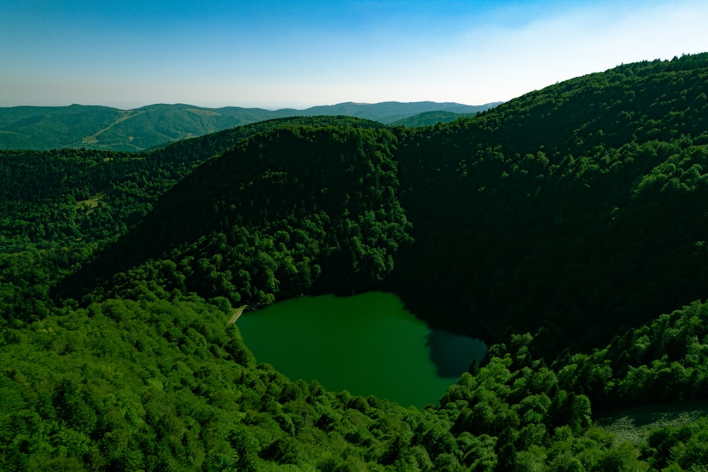 a large lake surrounded by lush green trees