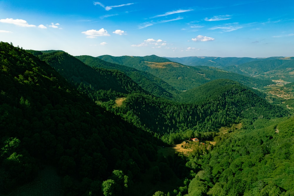 a landscape with trees and hills