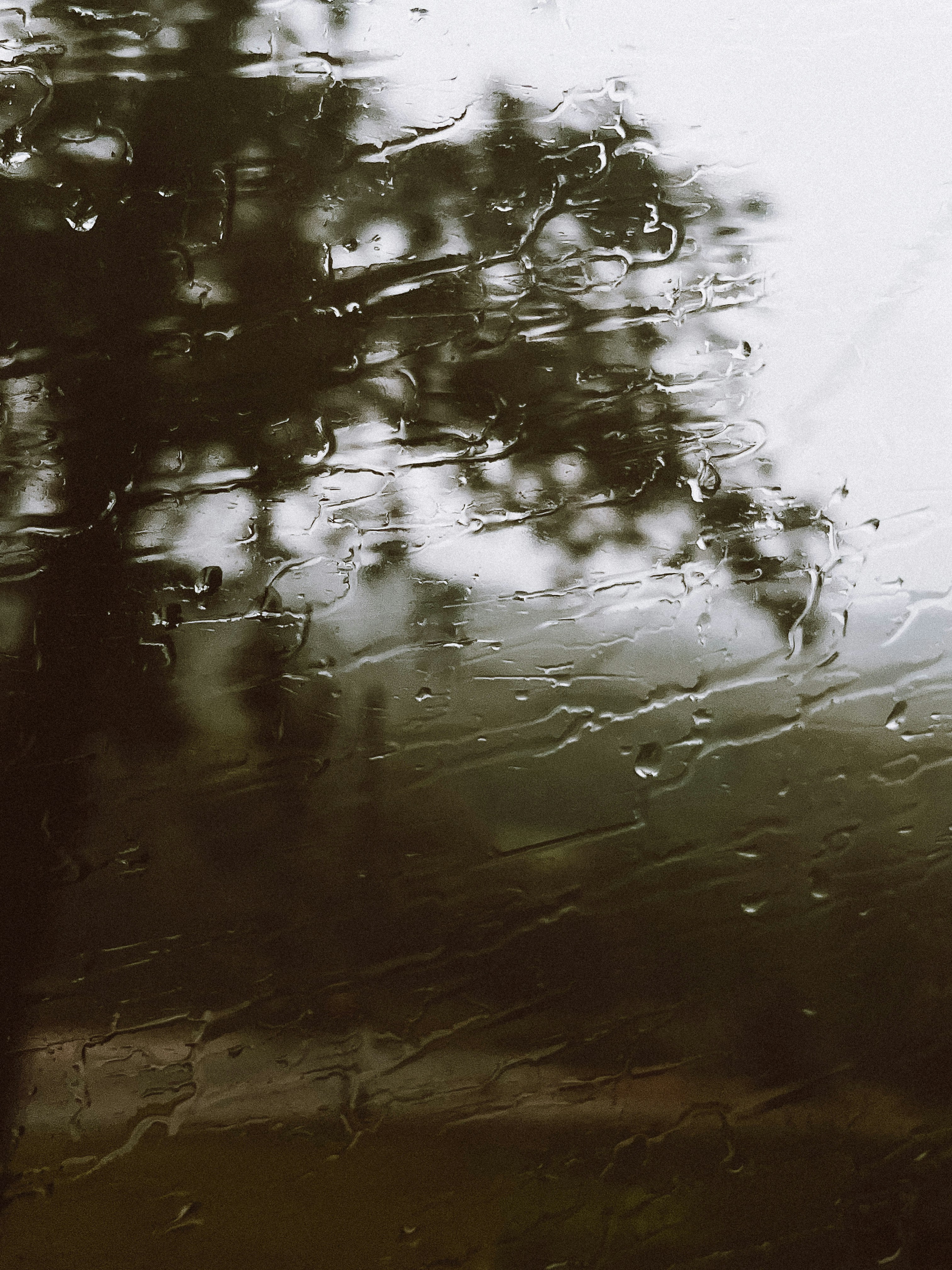 Photo by lanathegraves