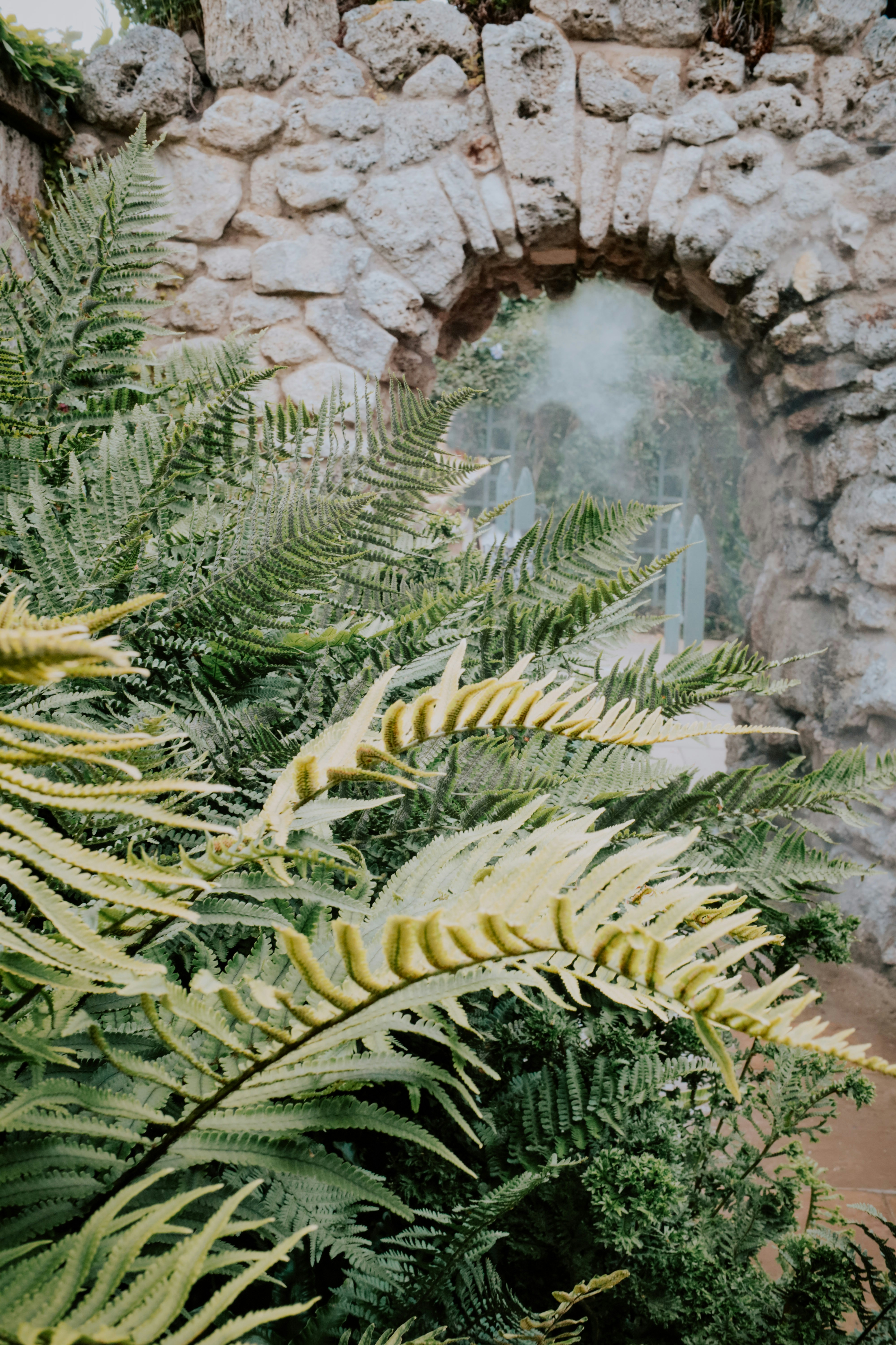 Christ in the Smokies Museum and Gardens photo 2