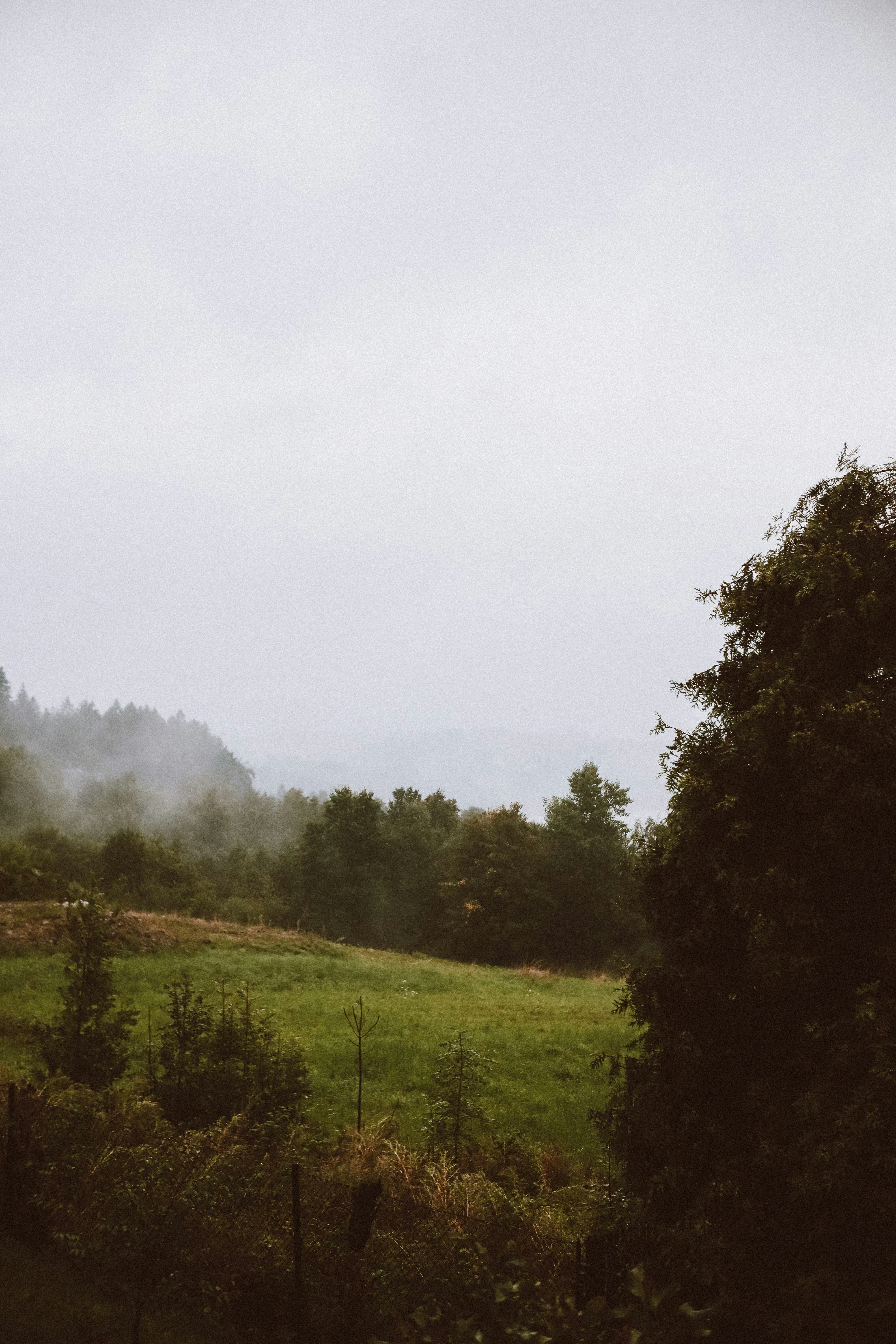 Photo by lanathegraves