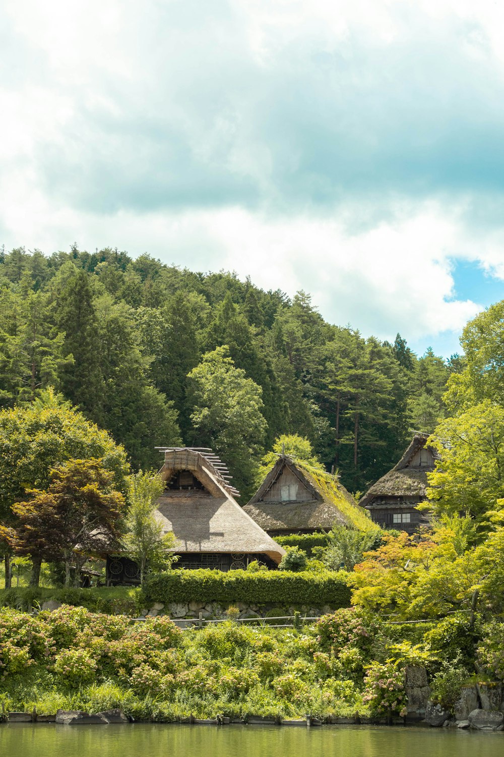 a group of houses by a lake