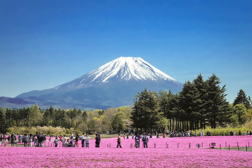 a large group of people standing in a field with Mount Fuji in the background