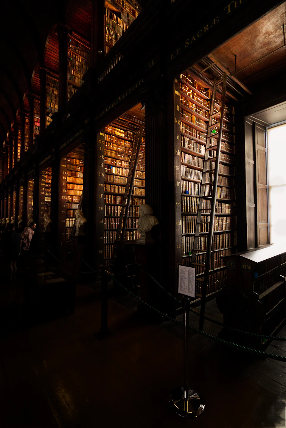 Grand library with tall wooden bookshelves filled with numerous books and natural light pouring in