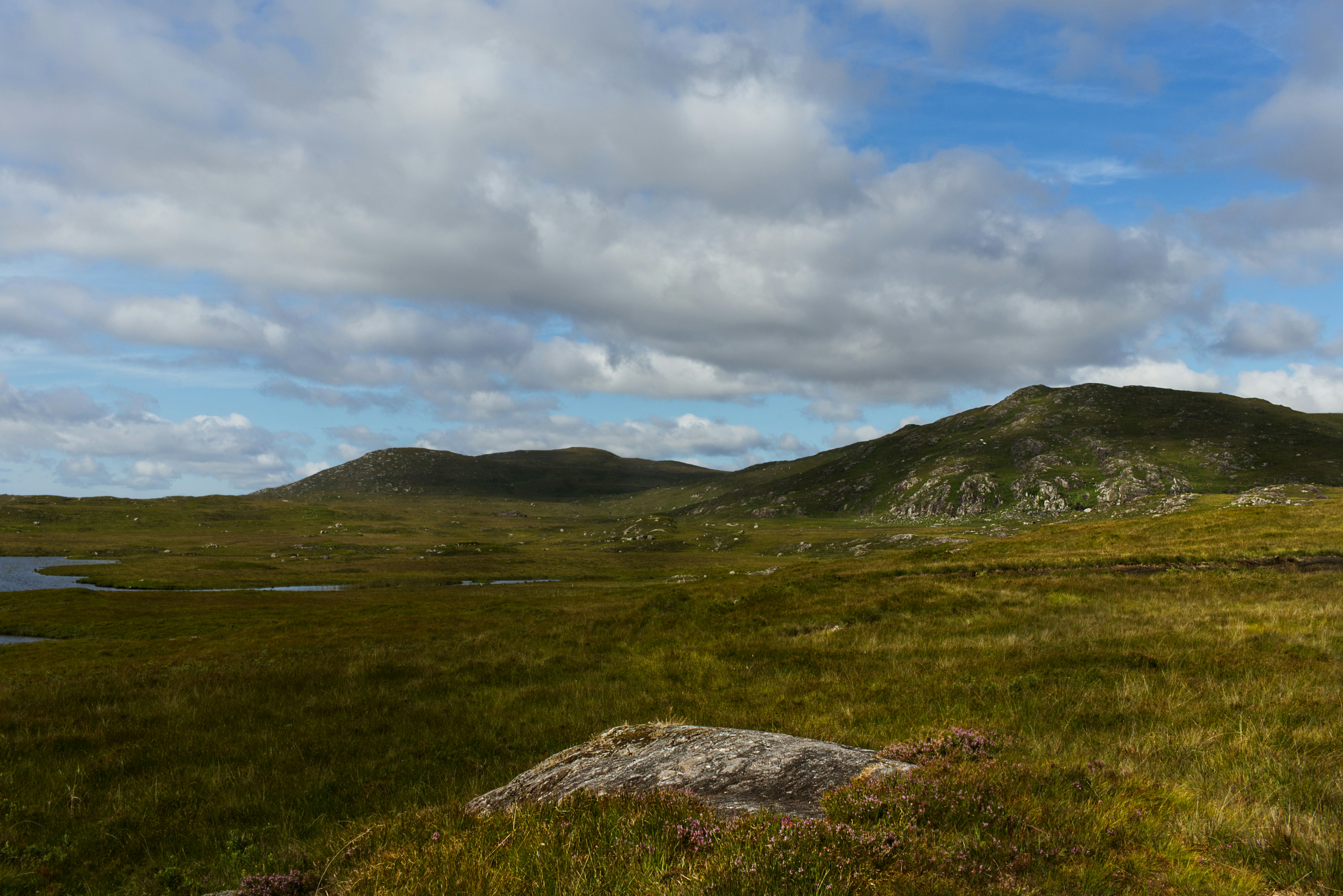 a grassy field with a body of water in the distance, 