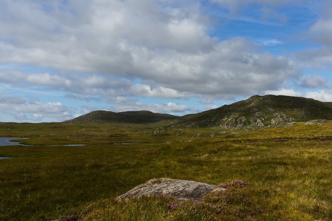 a grassy field with a body of water in the distance,