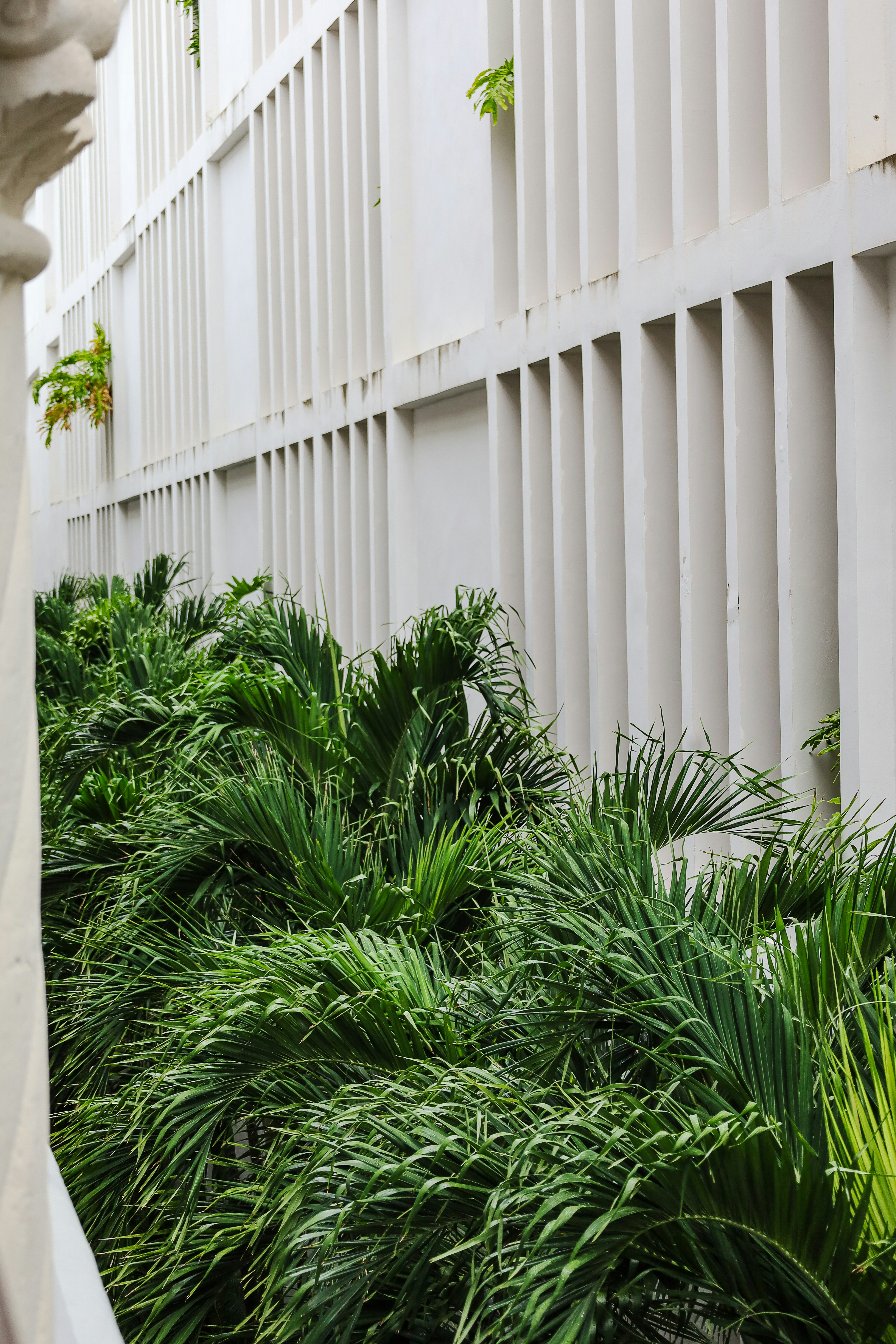 Photo by rosemarymedia