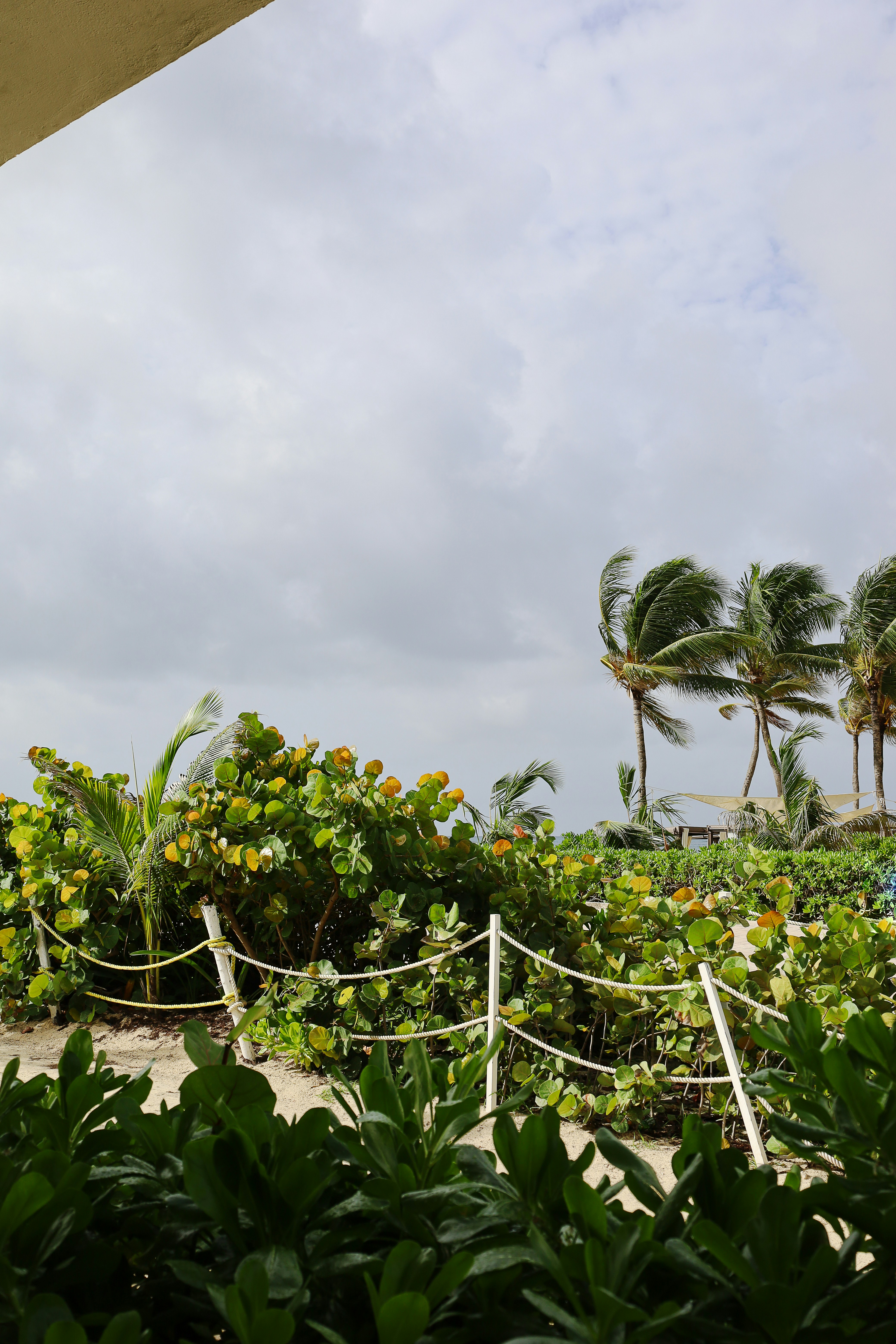 105 MPH Melissa is On Her Way Away...... Still Going Strong Tho!  Thoughts on Melissa and Are We Done With Hurricane Season? Cool Air For Halloween!!