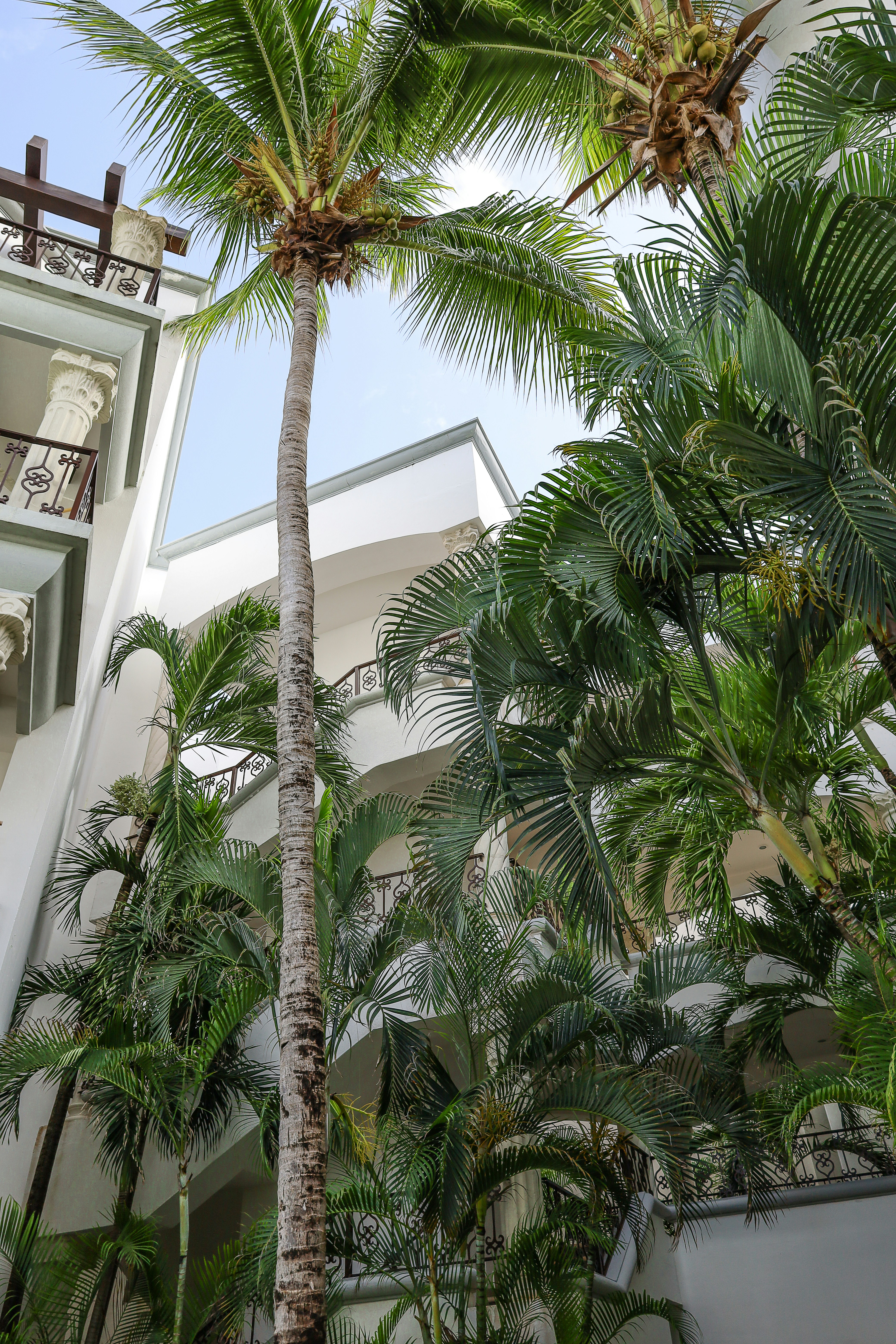 Photo by rosemarymedia