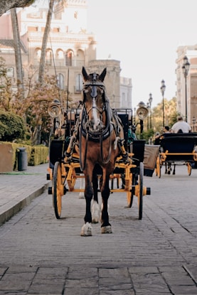 seville transportation: seville travel itinerary