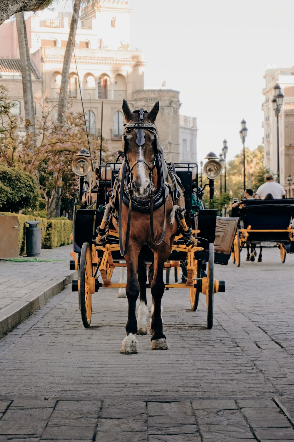 a horse pulling a carriage