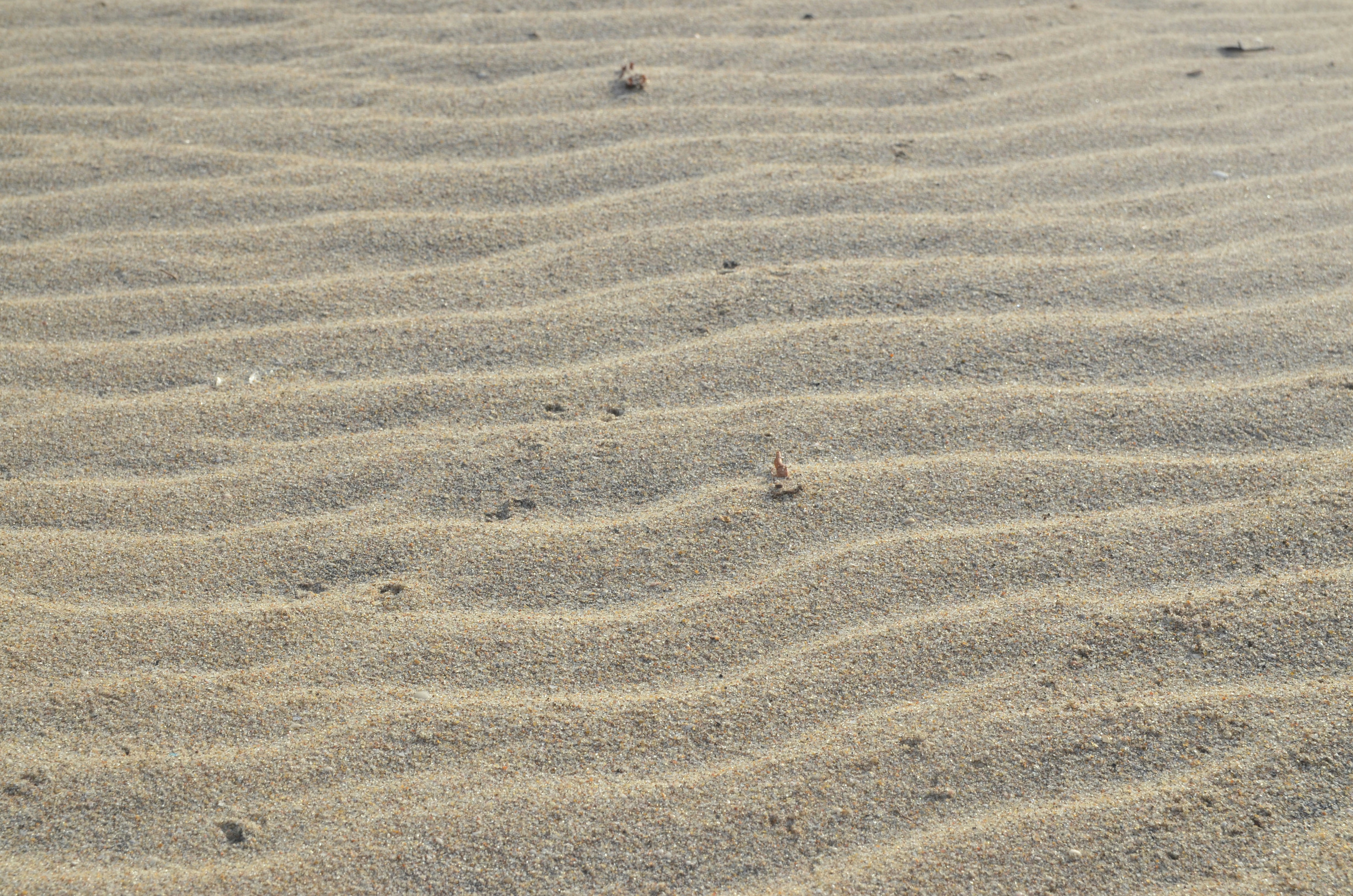 Photo by nakkeeran_raveendran