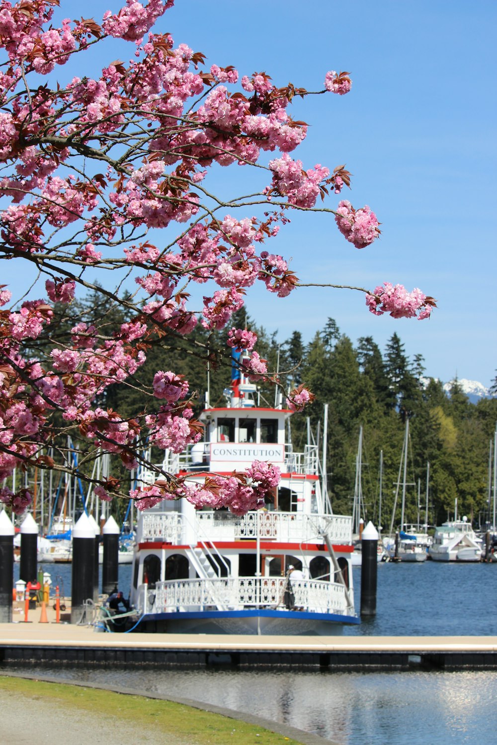 a boat on the water