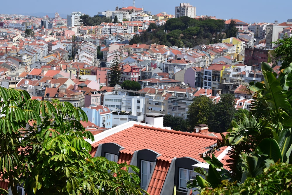 a city with many buildings