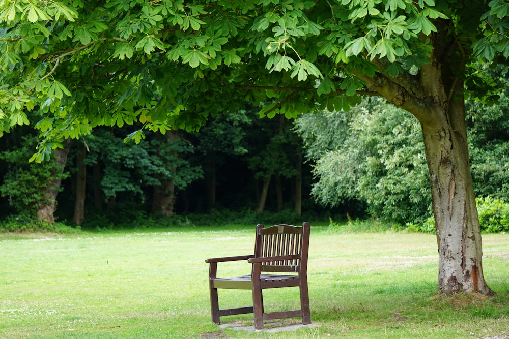 a bench in a park