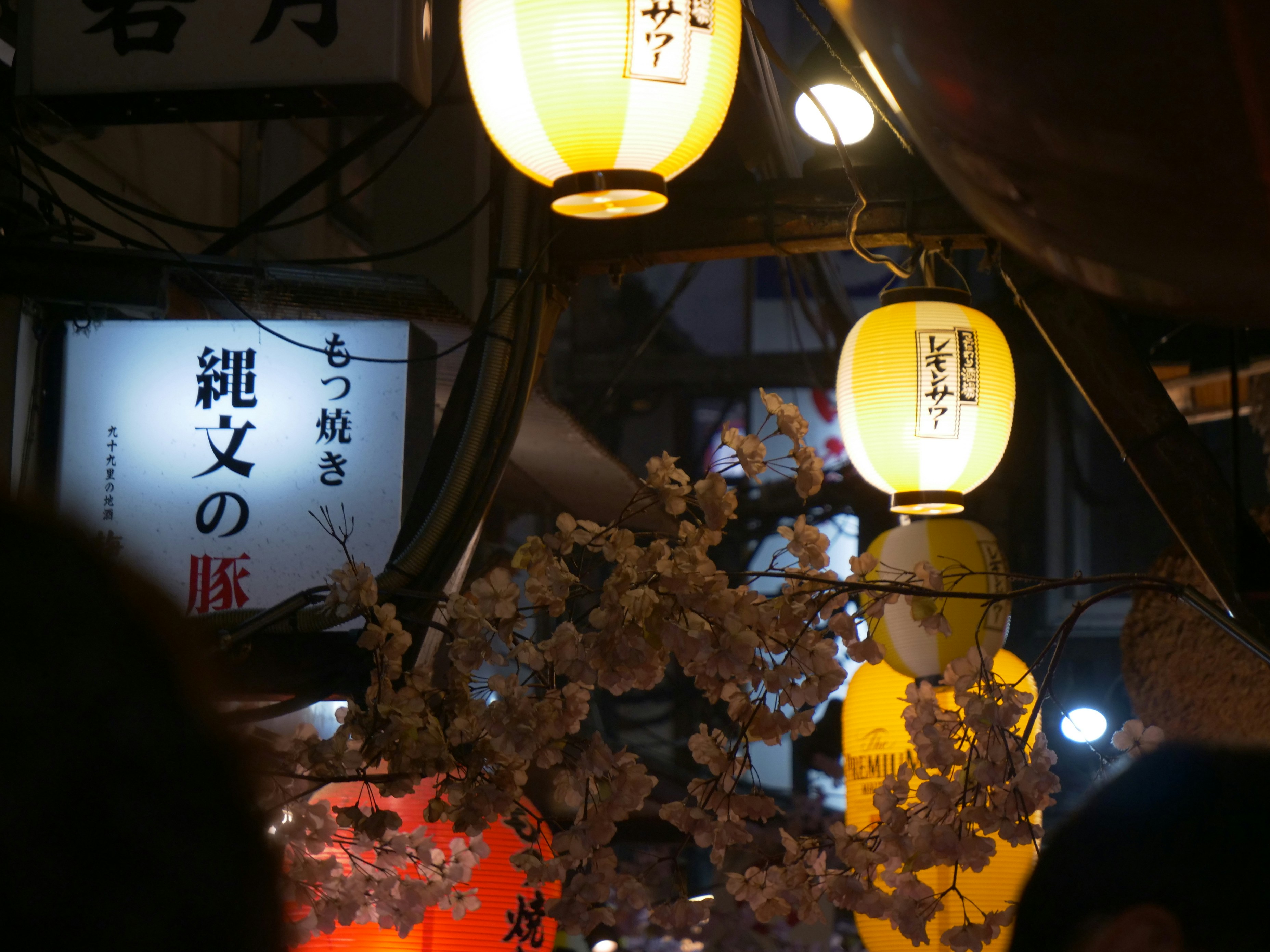 a group of lanterns from a string