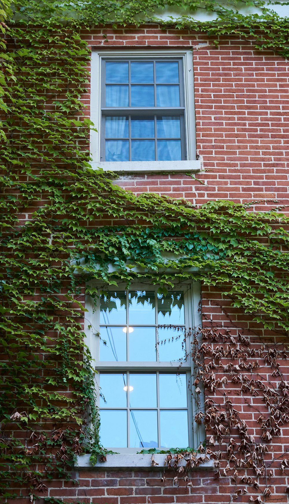 a couple of windows on a brick building