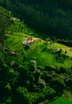 a house in the middle of a forest