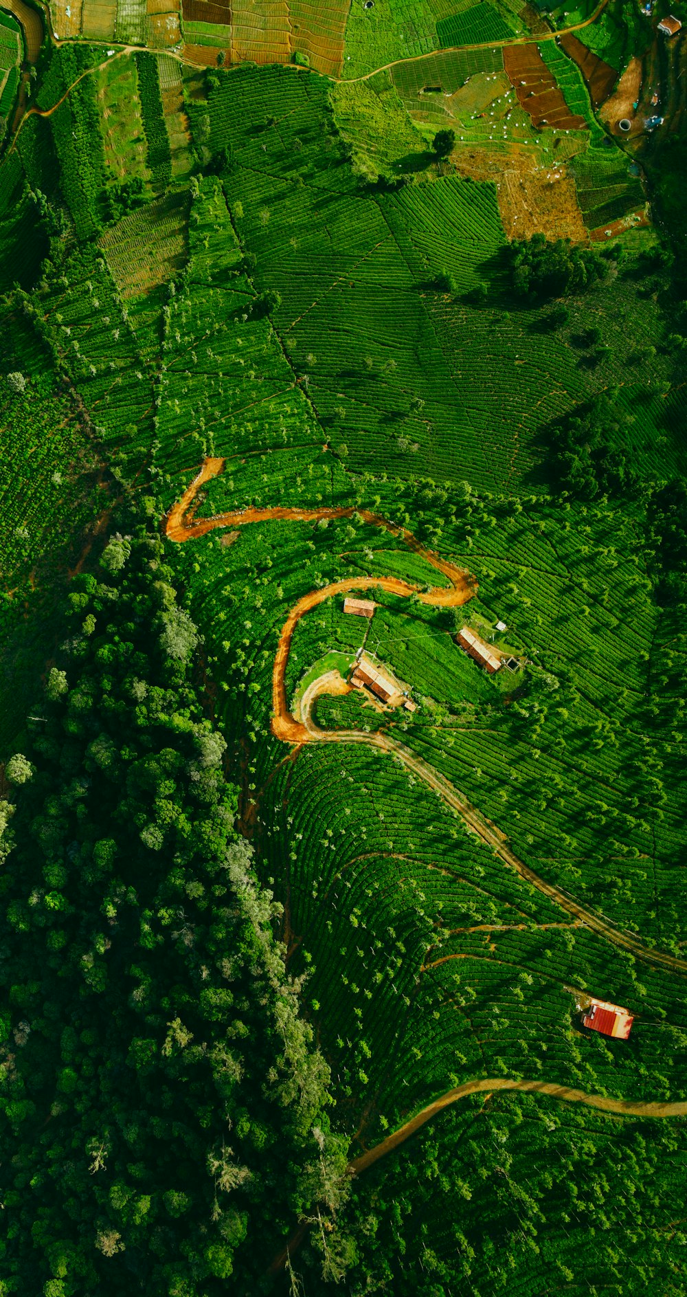 a map of a land with trees