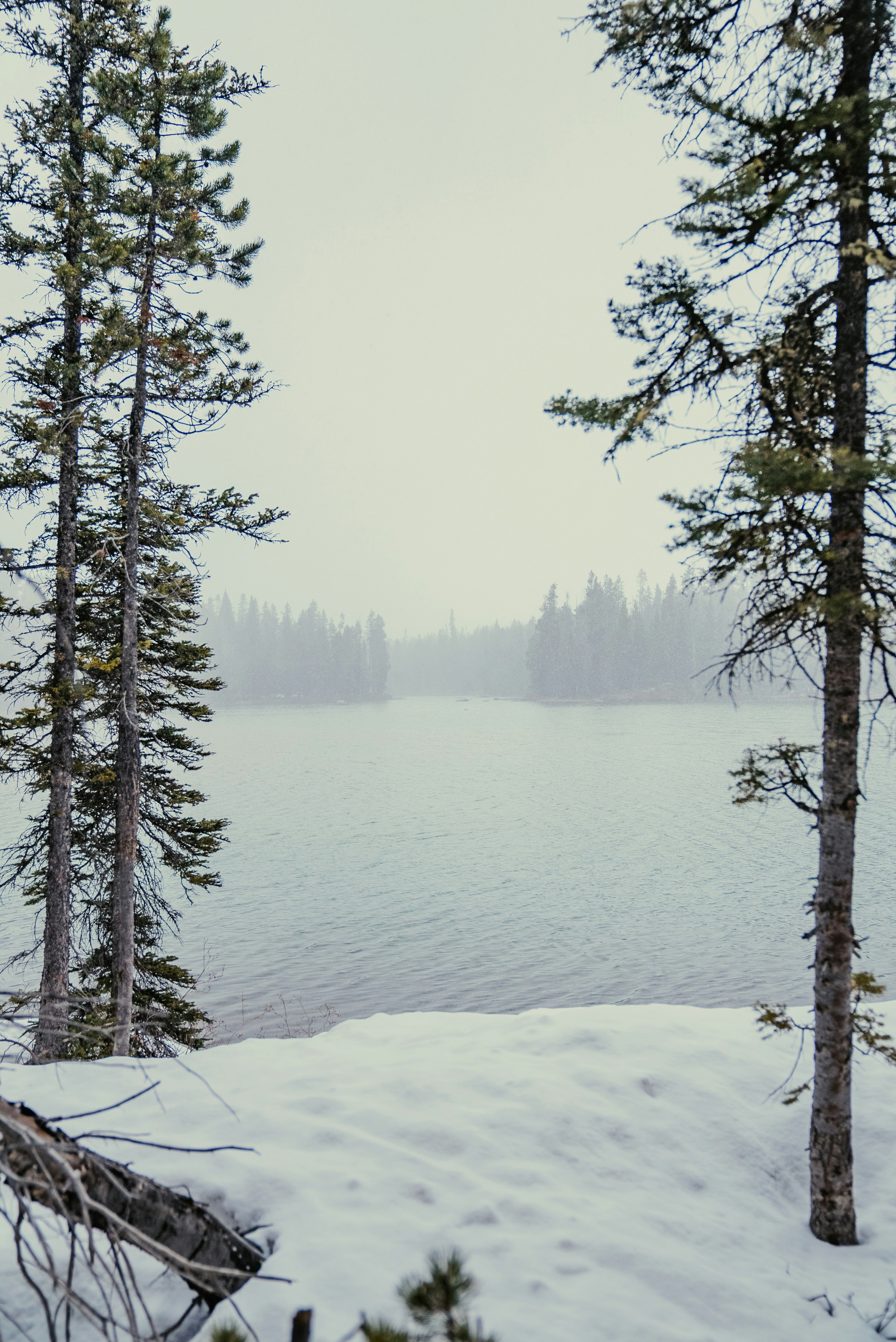 Photo by evanthewise