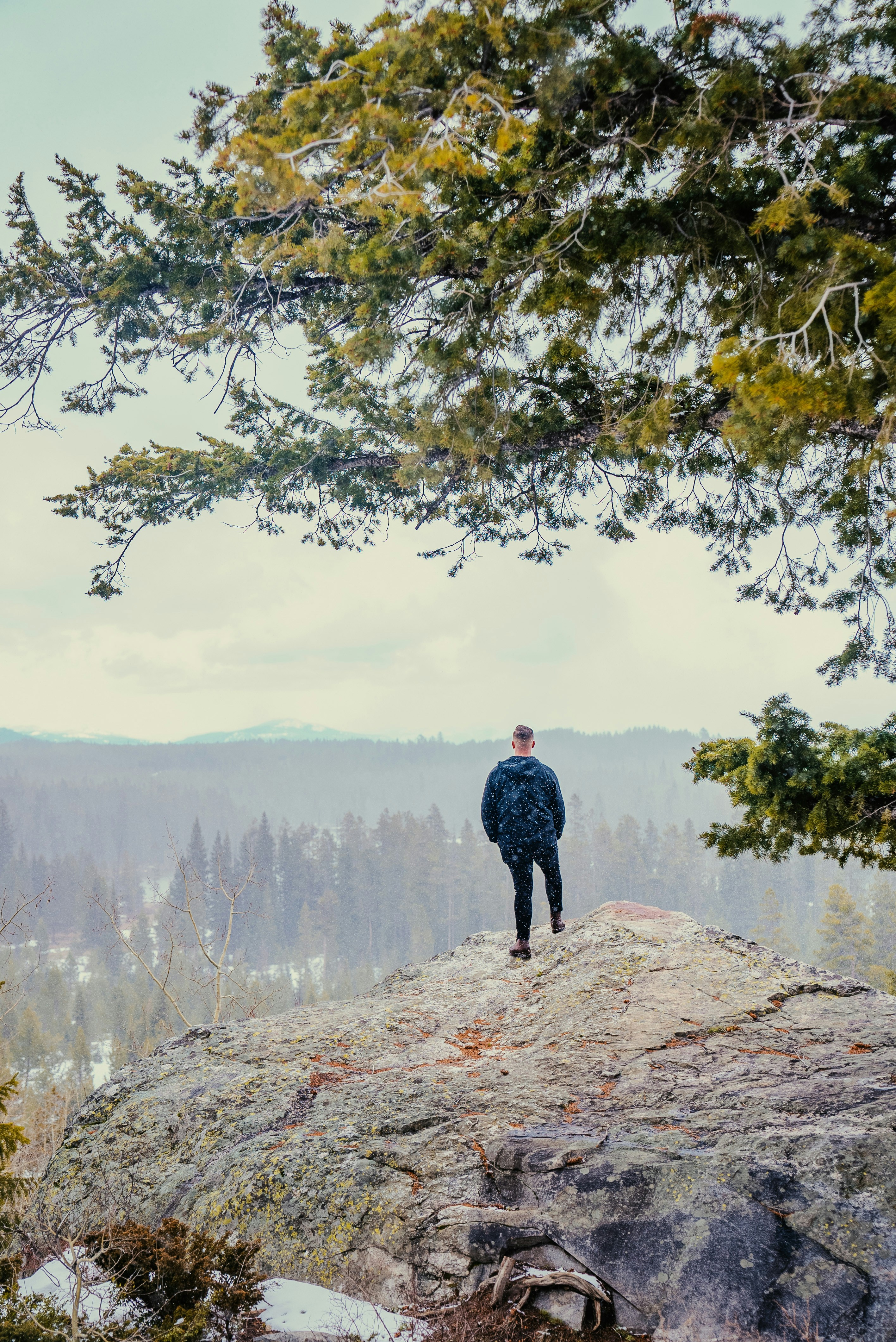 Photo by evanthewise