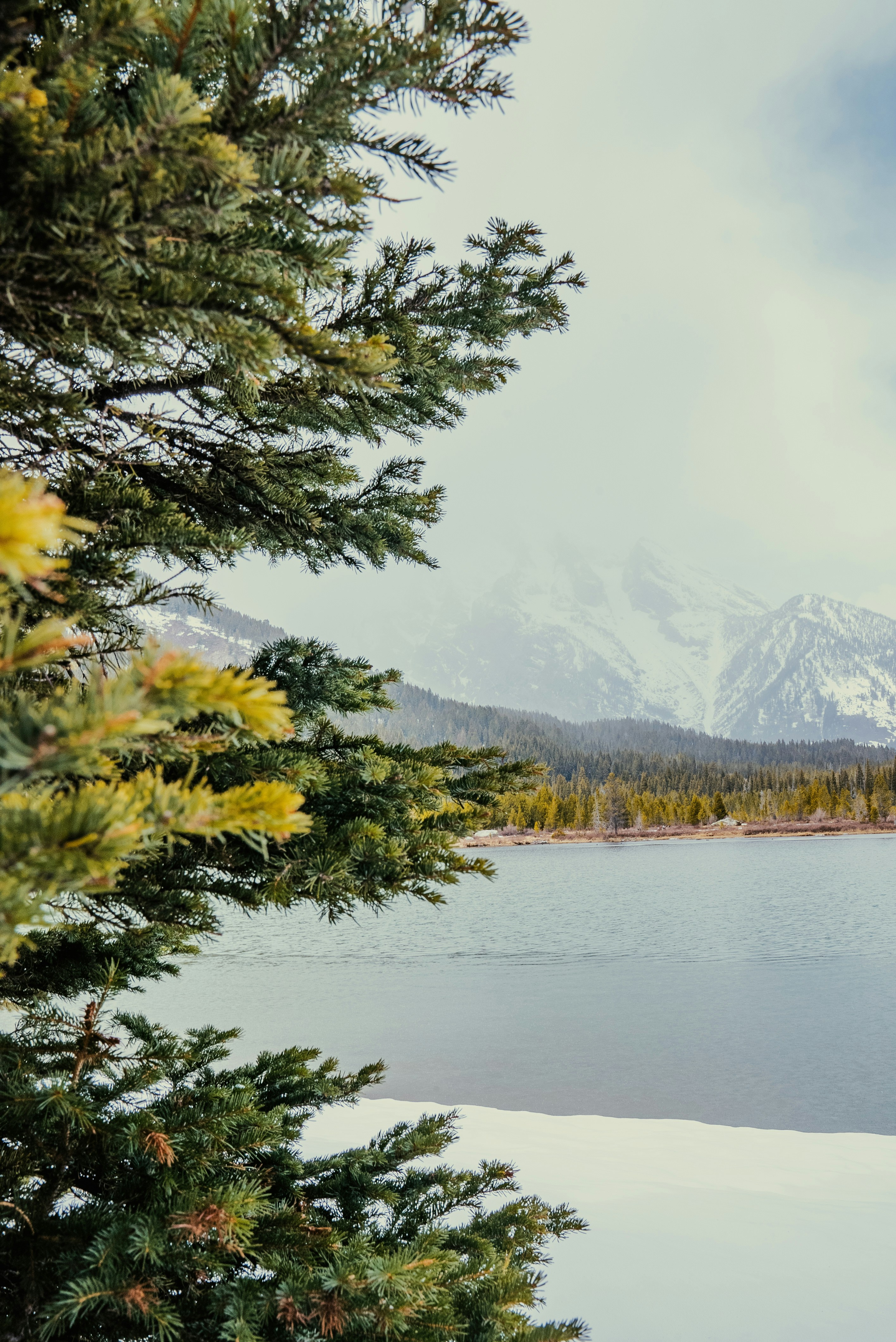 Photo by evanthewise