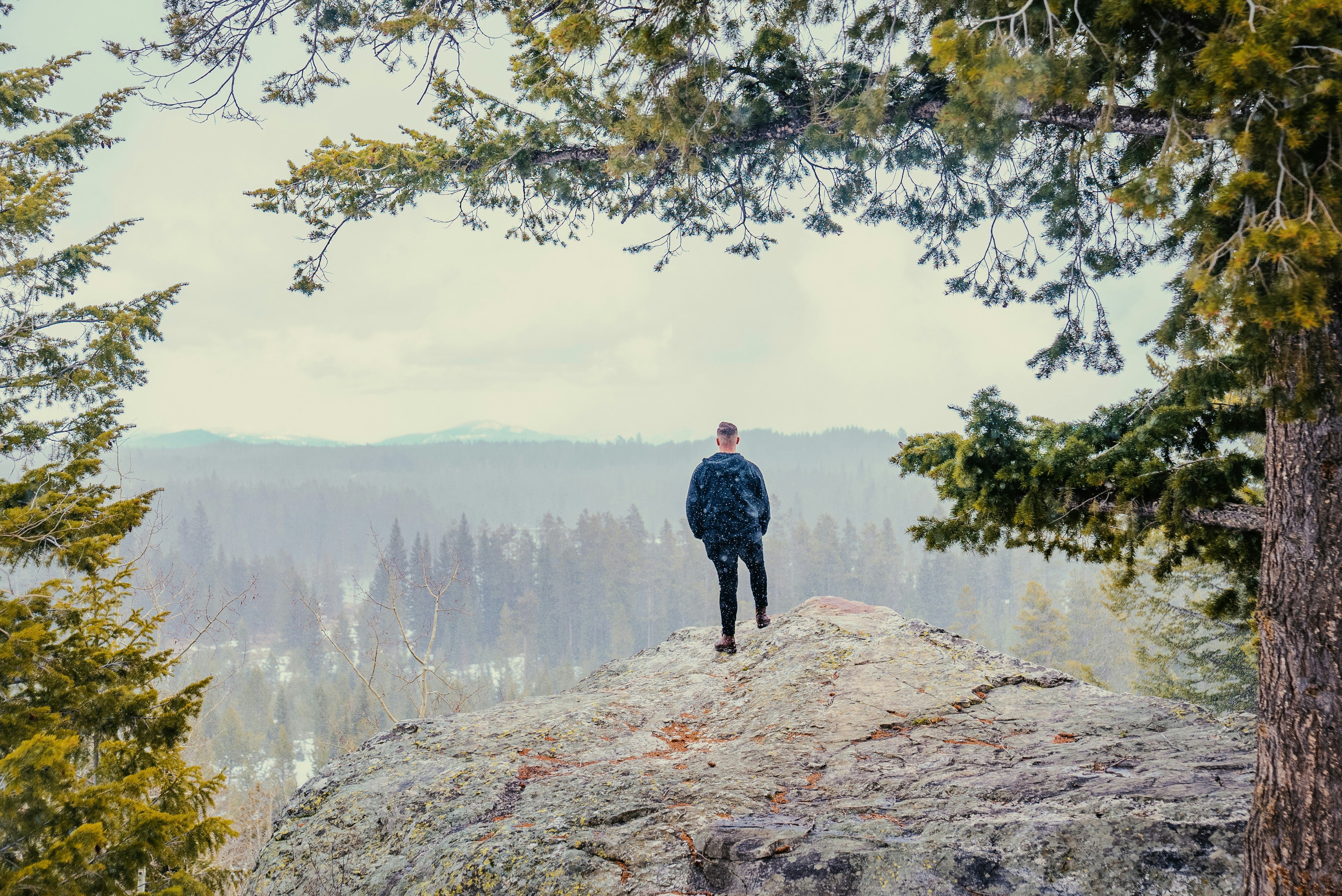 Photo by evanthewise