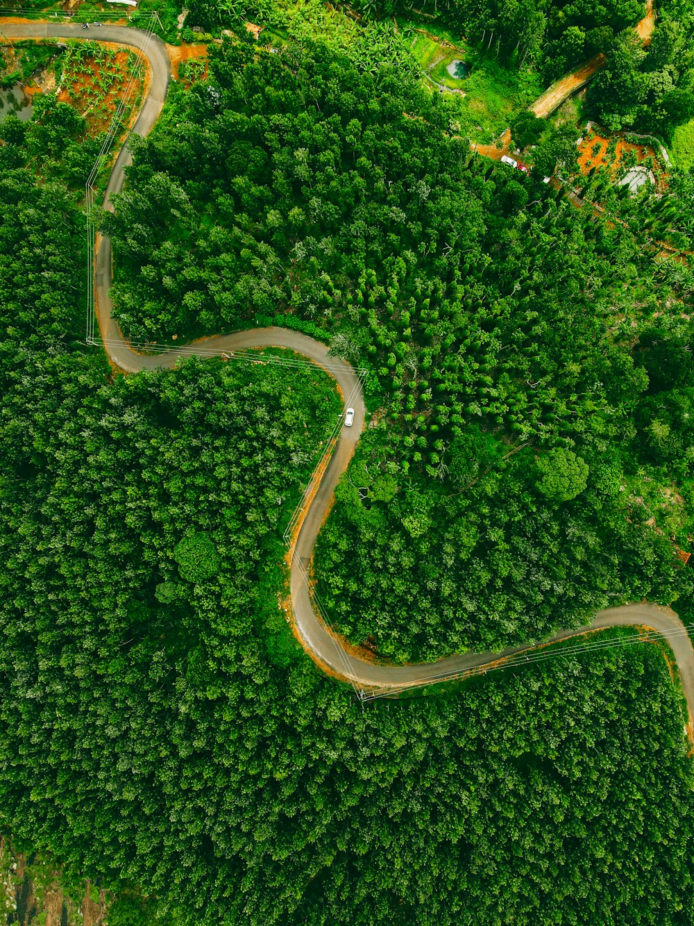 a winding road through a forest