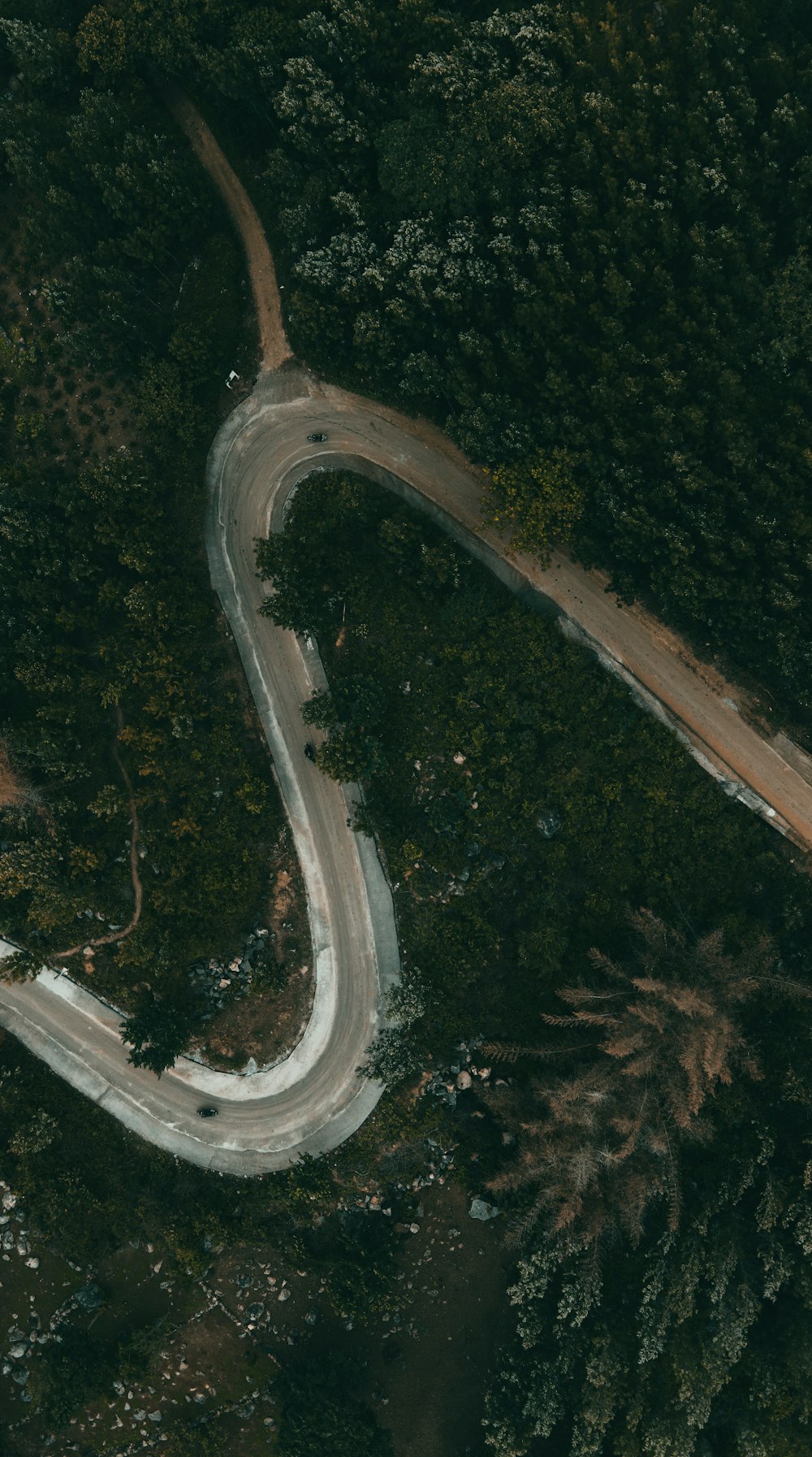 a winding road through a forest