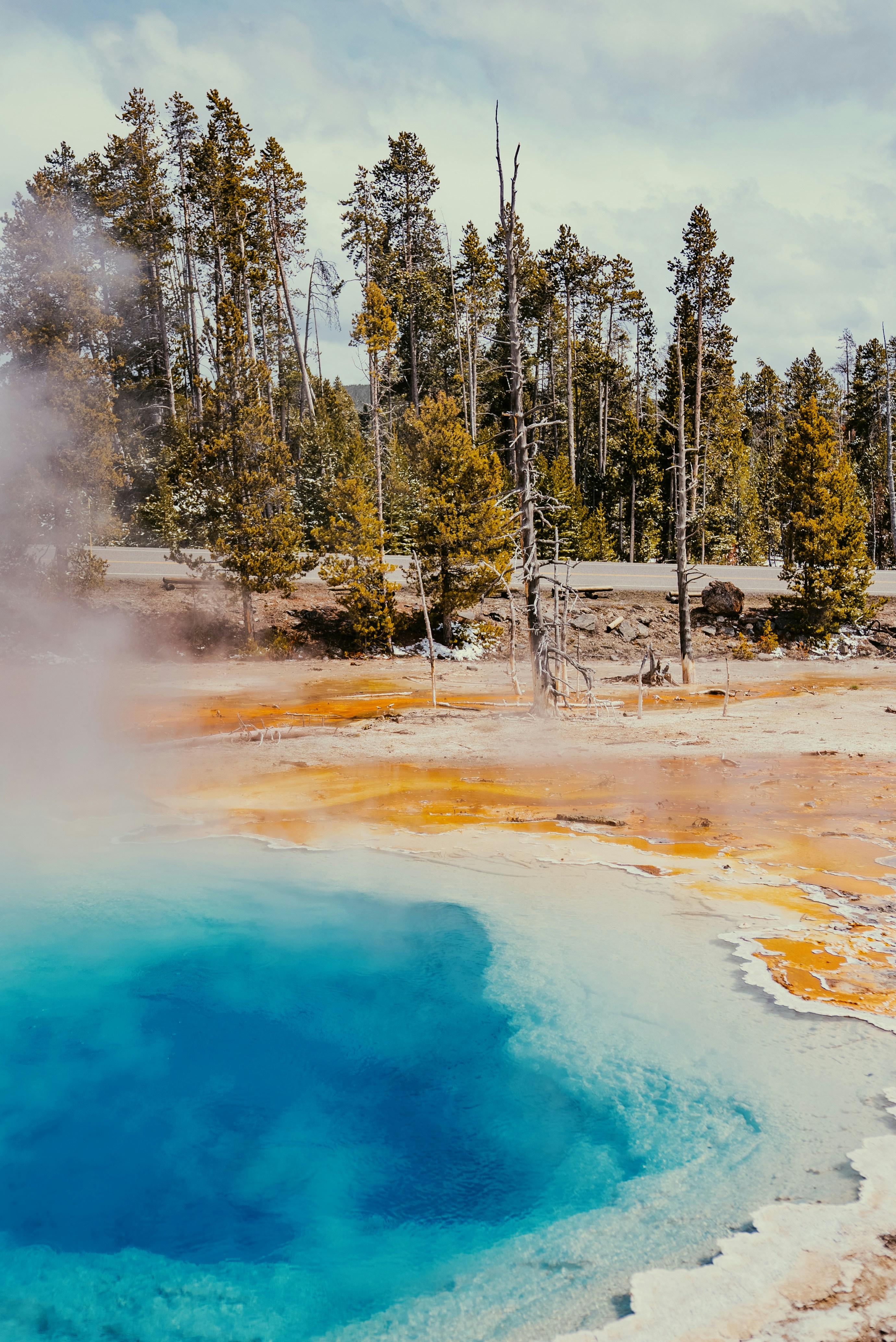 Photo by evanthewise