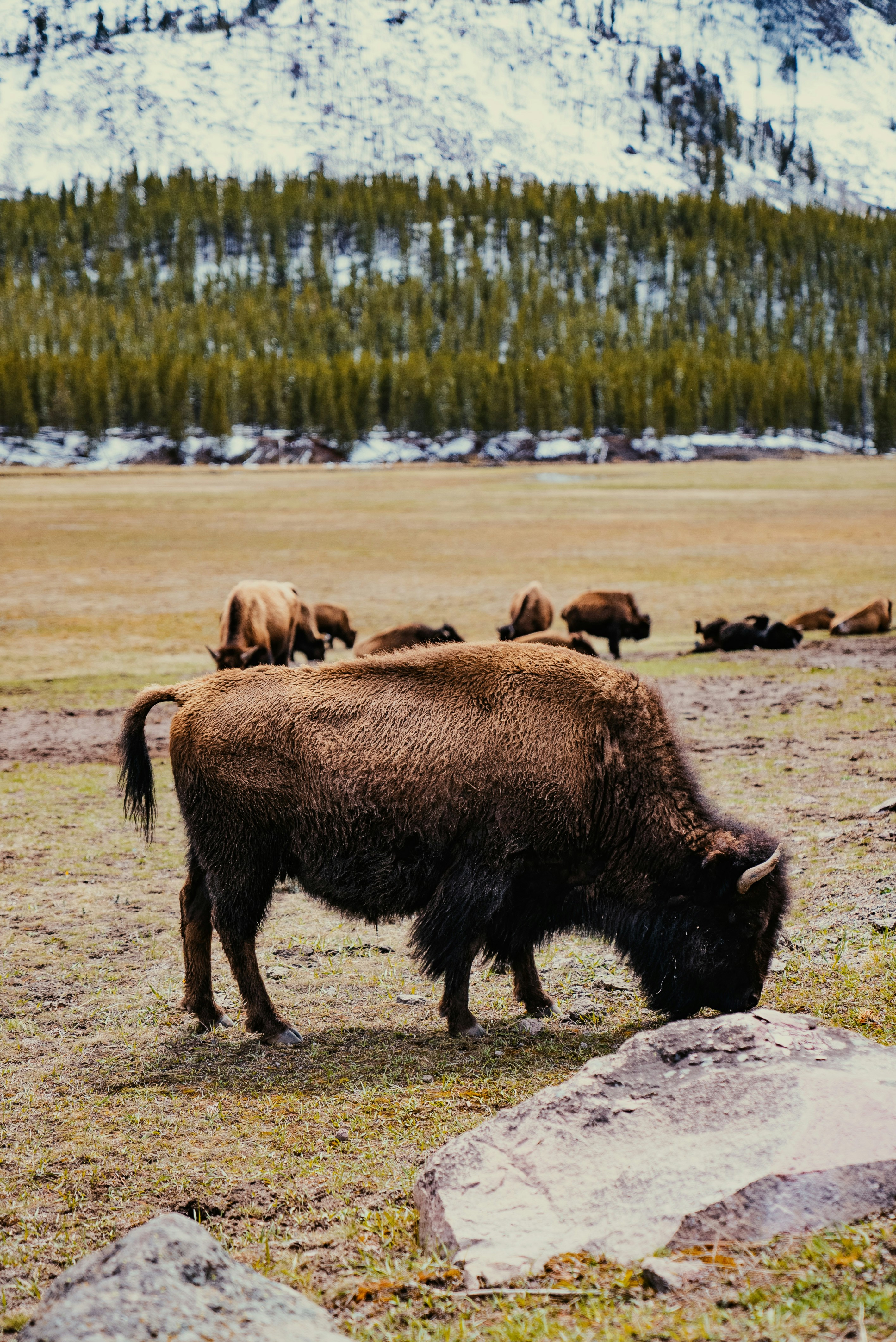 Photo by evanthewise