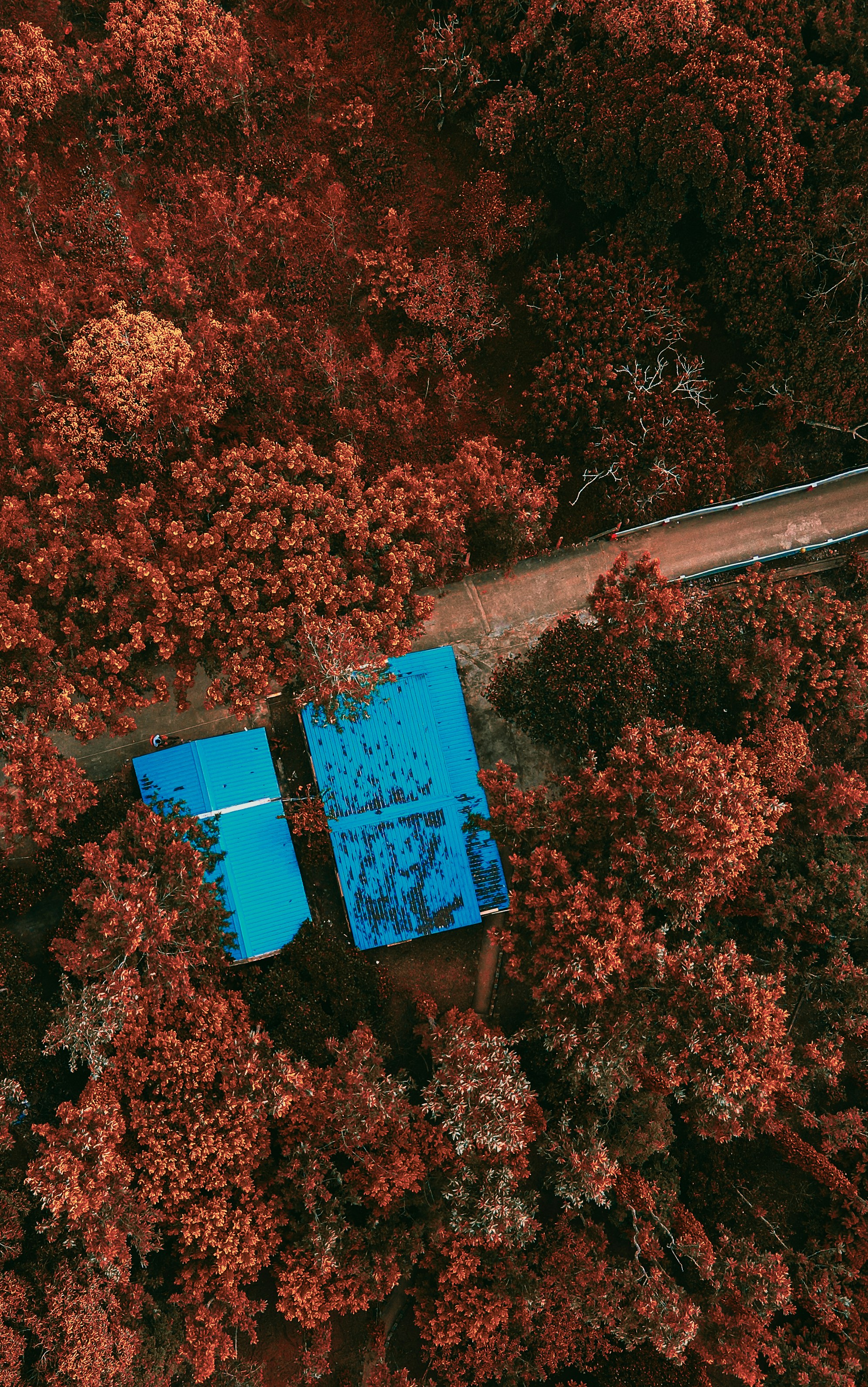 a blue building surrounded by trees