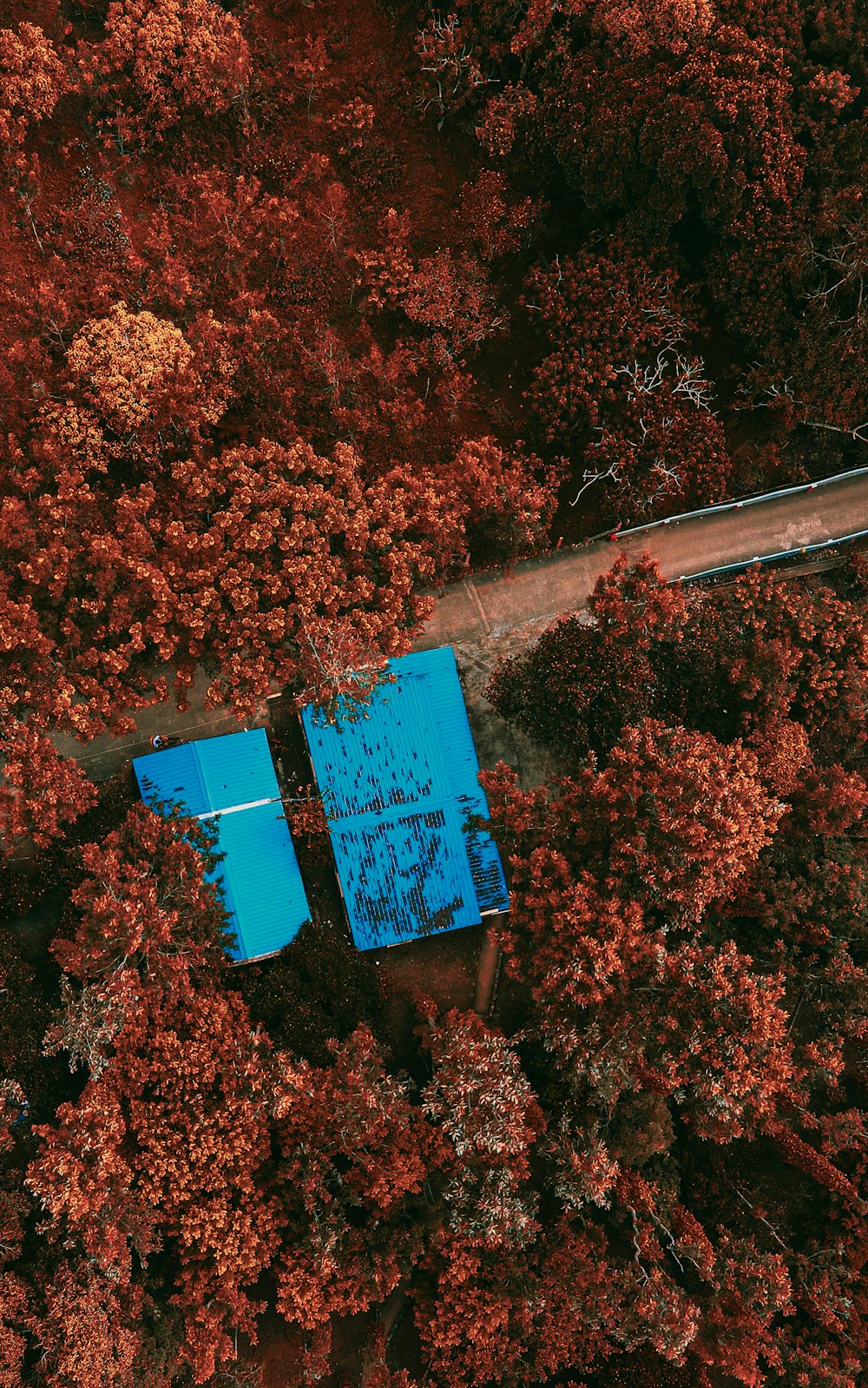 a blue building surrounded by trees