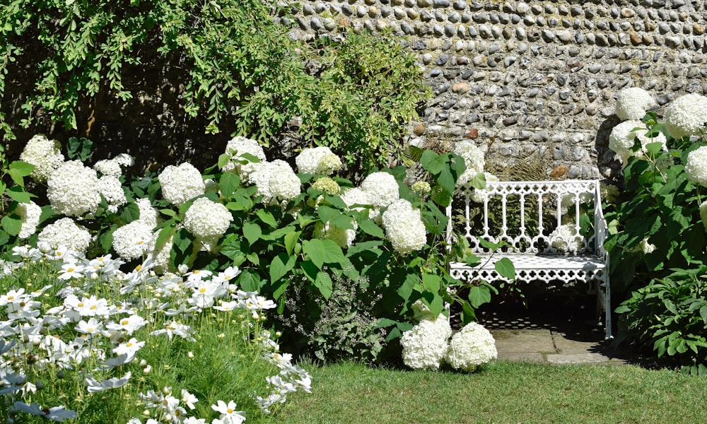 a bench in a garden