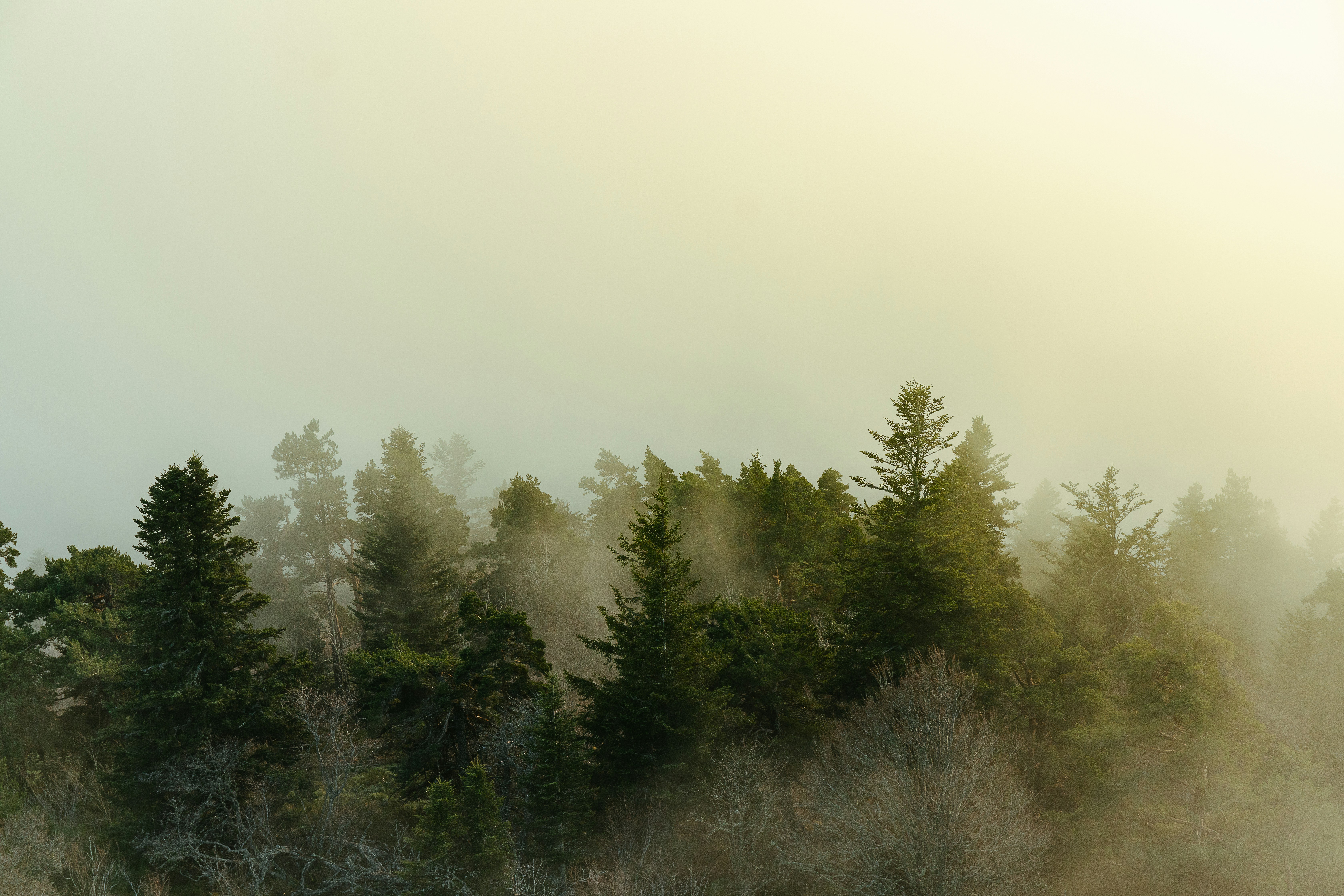 Photo by louisgaudiau