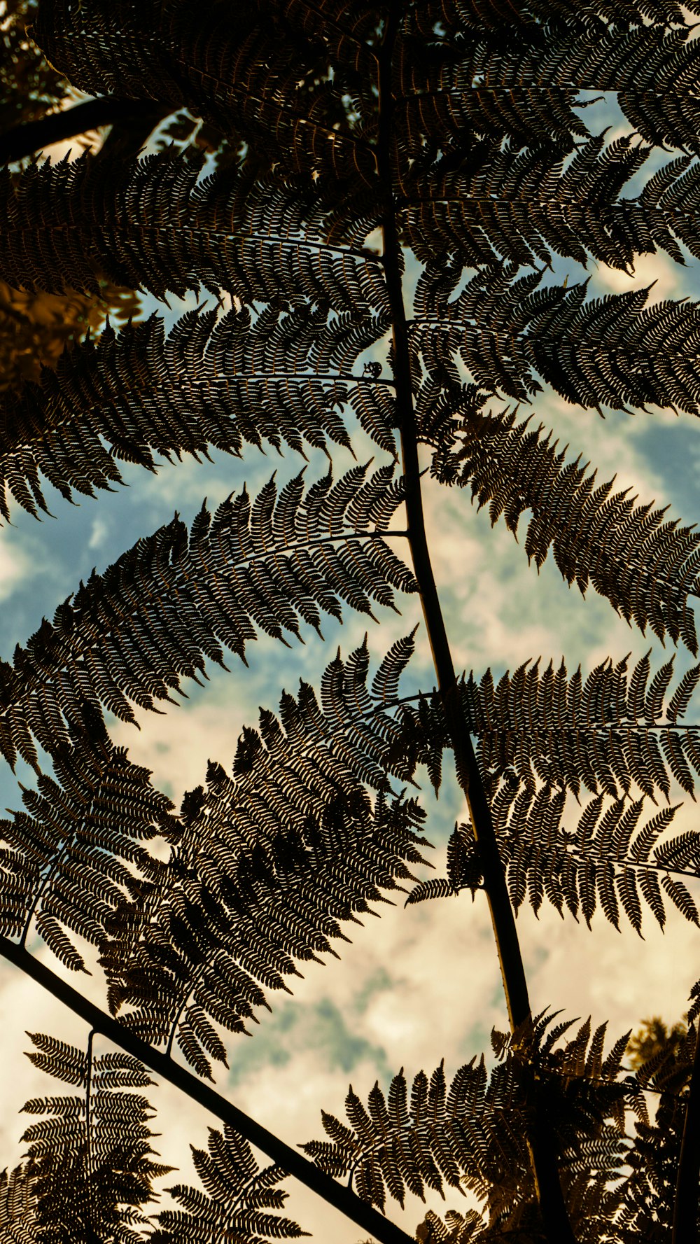 un arbre avec des feuilles