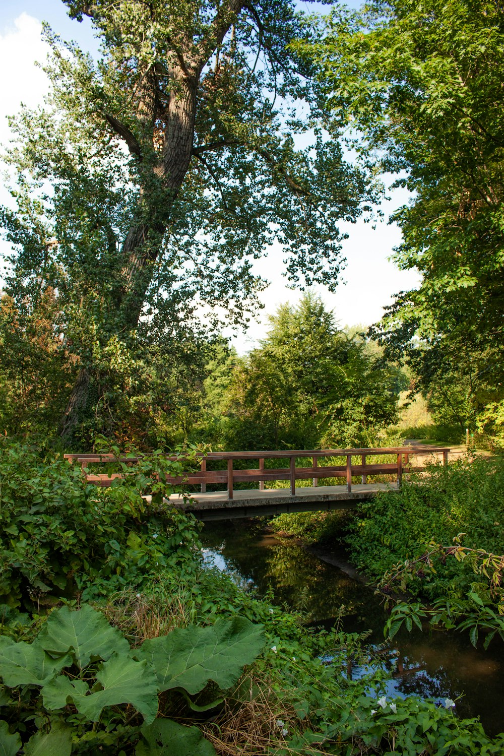 a bridge over a river